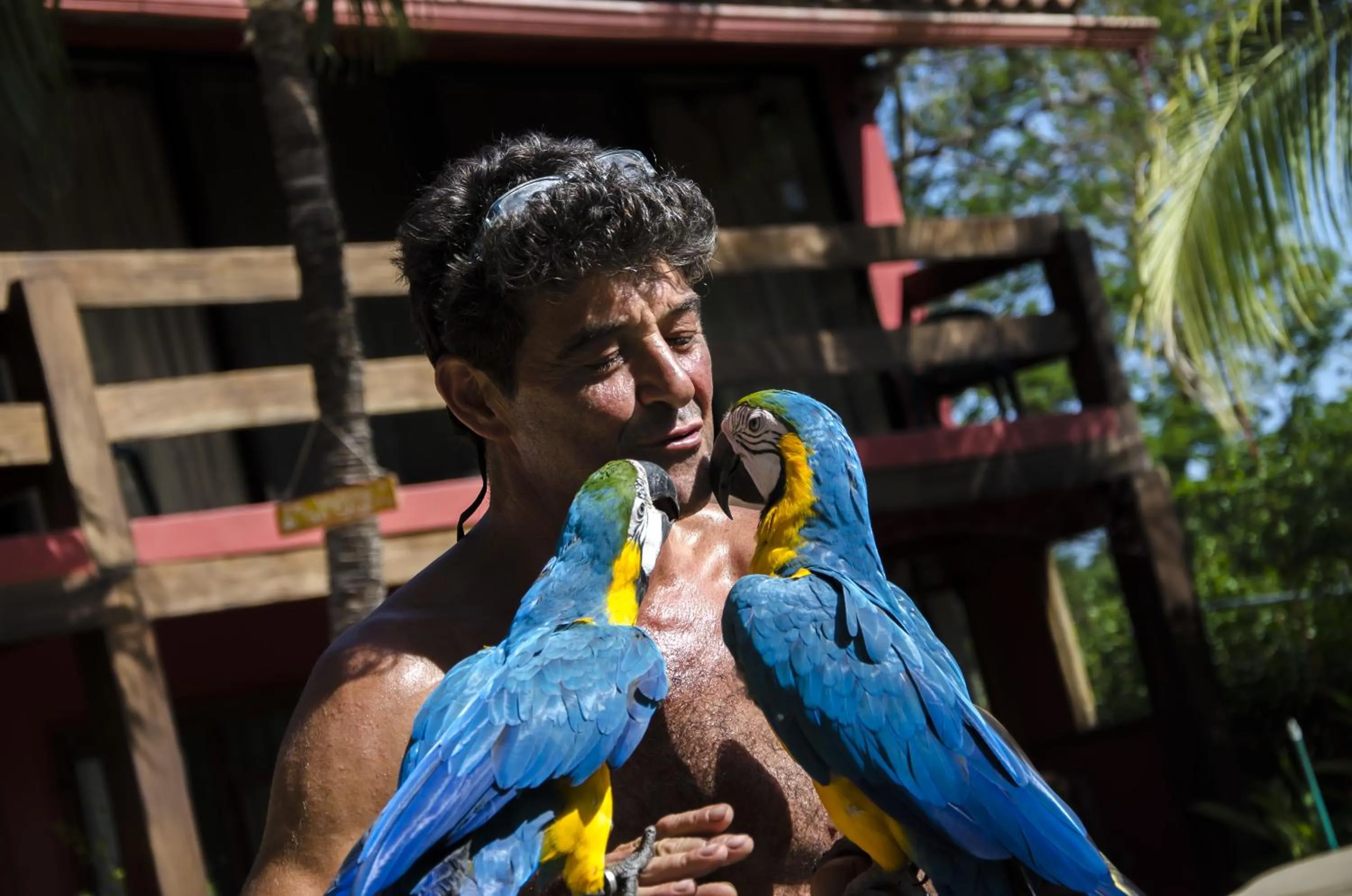 Pets in Massai Apartments