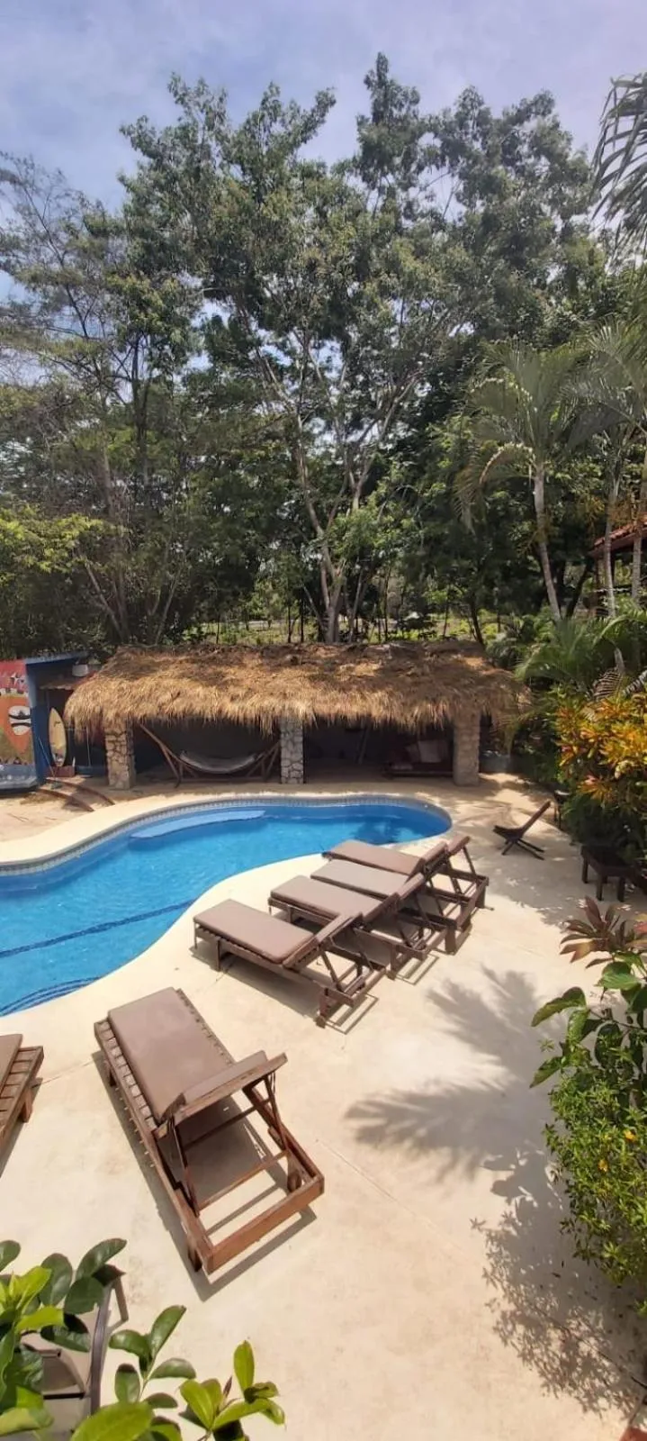Swimming pool in Massai Apartments