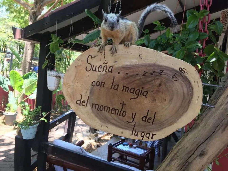 Property logo or sign in Massai Apartments