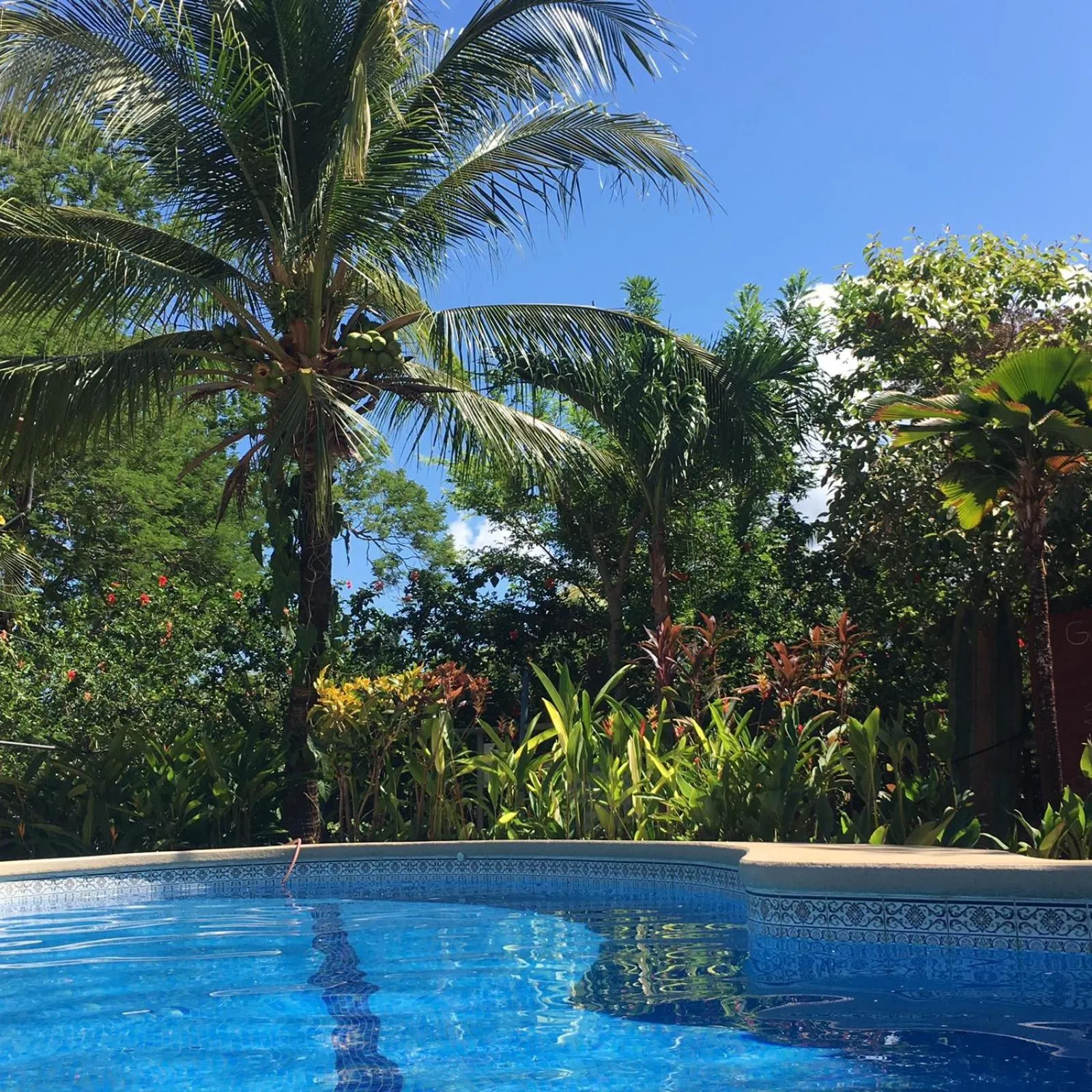 Swimming pool in Massai Apartments