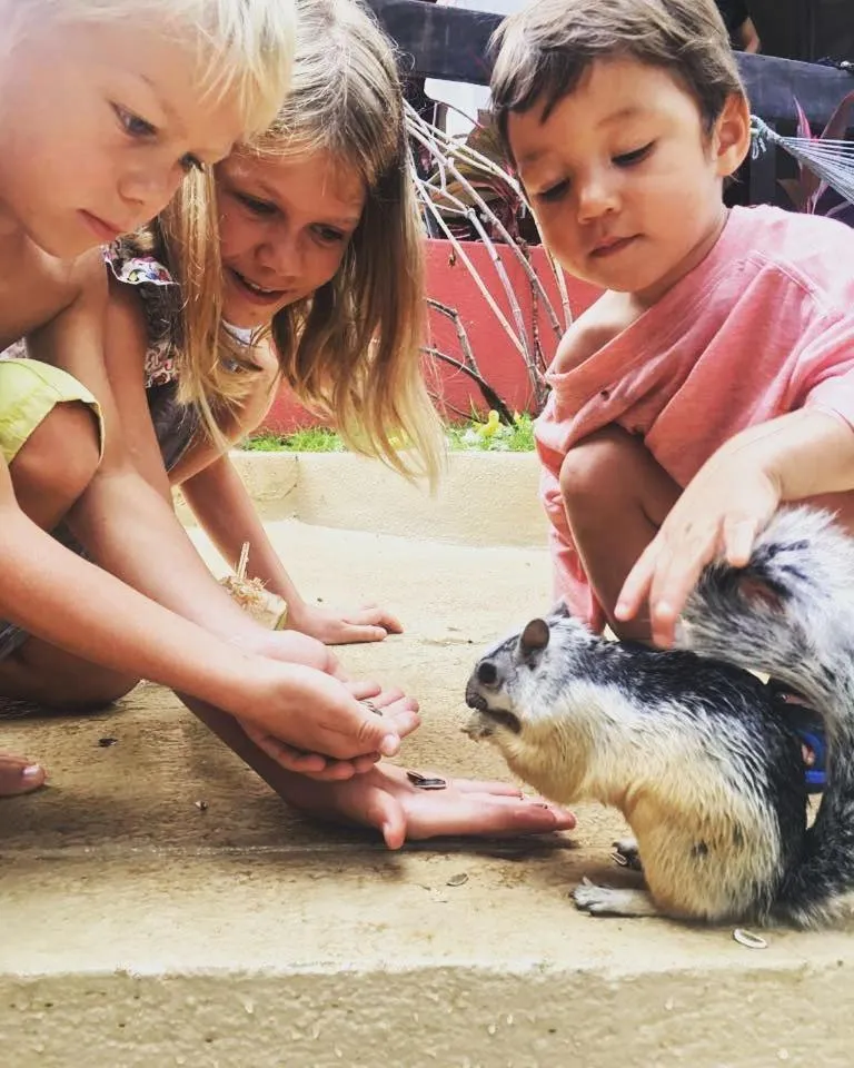 Pets in Massai Apartments