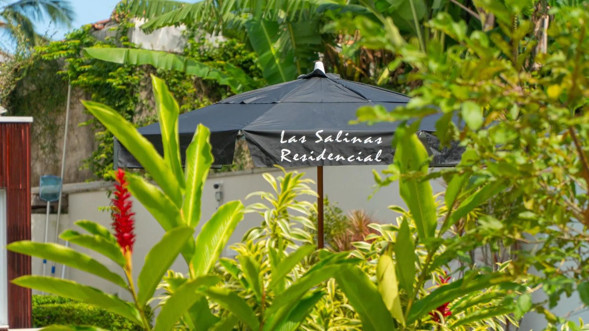Garden in Residencial Las Salinas