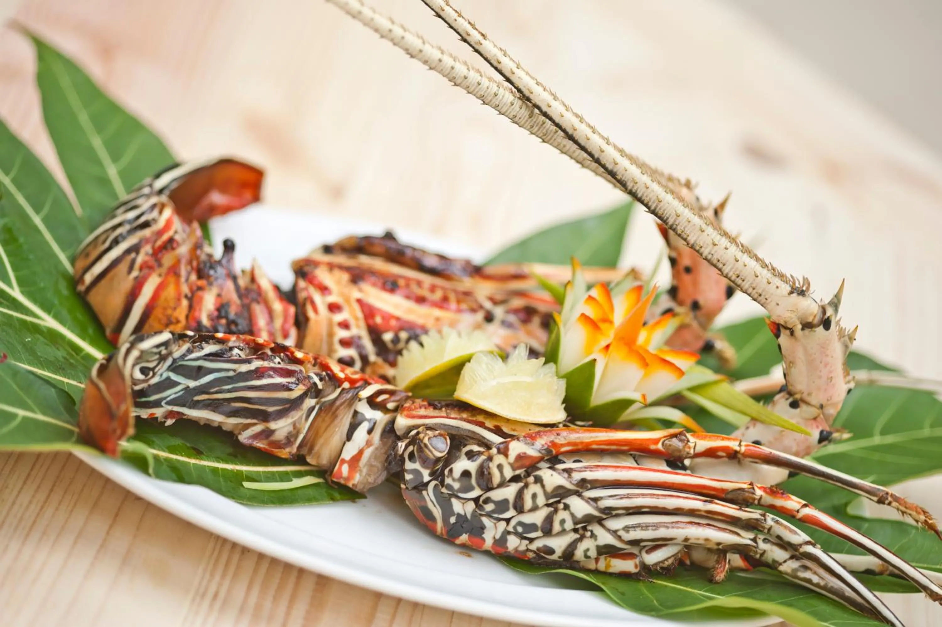 Food and drinks in Stingray Beach Inn