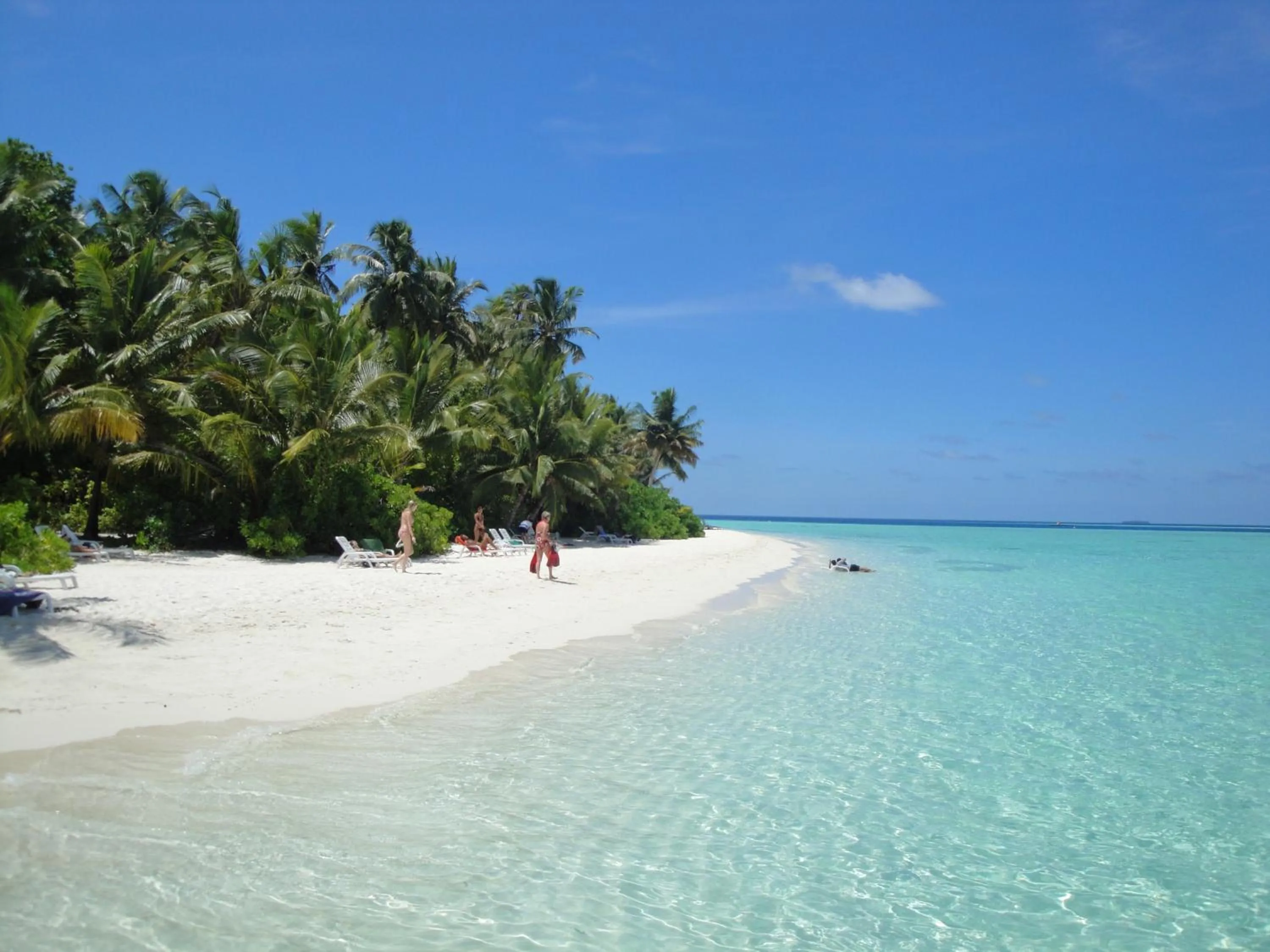 Beach in Stingray Beach Inn