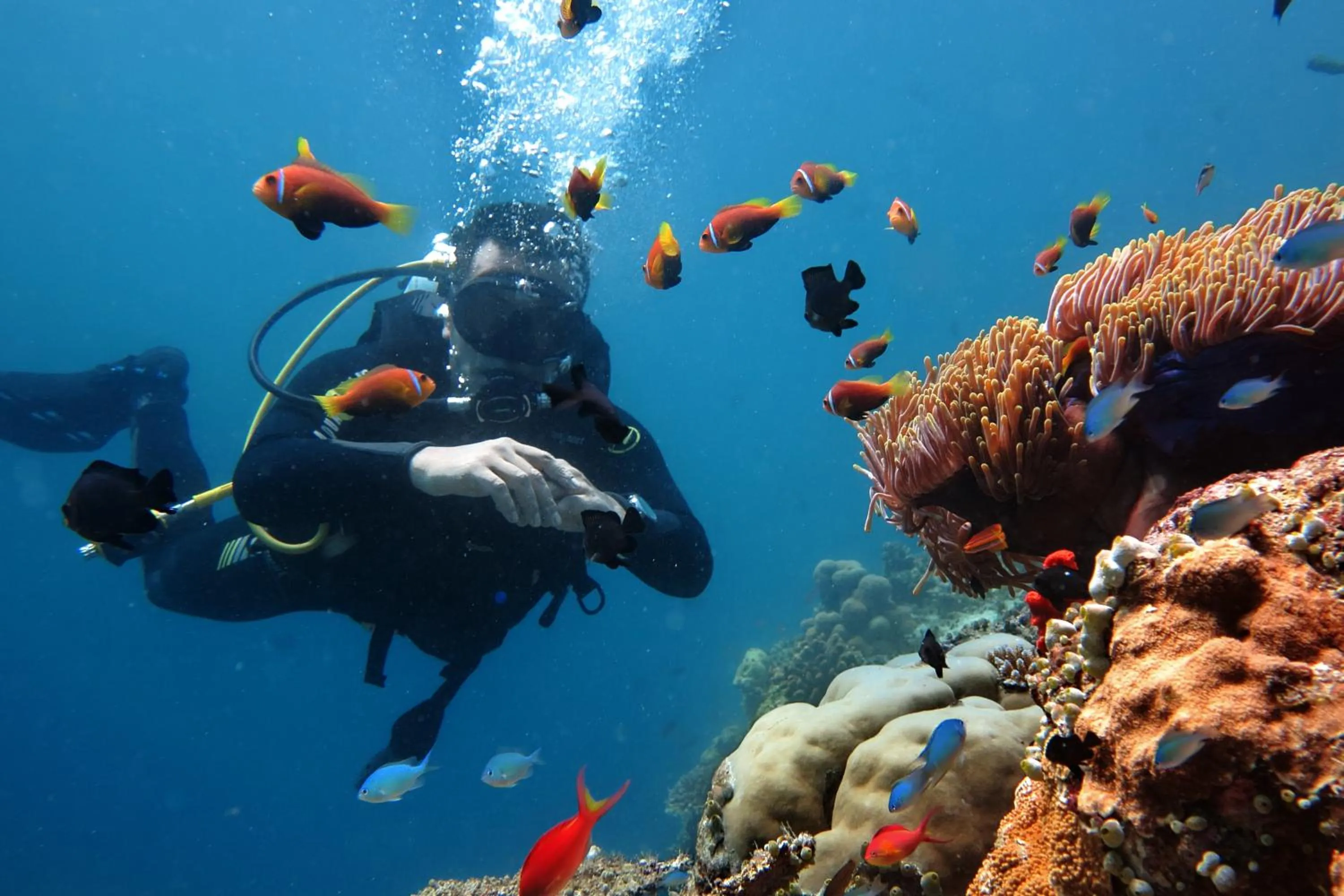Snorkeling in Stingray Beach Inn