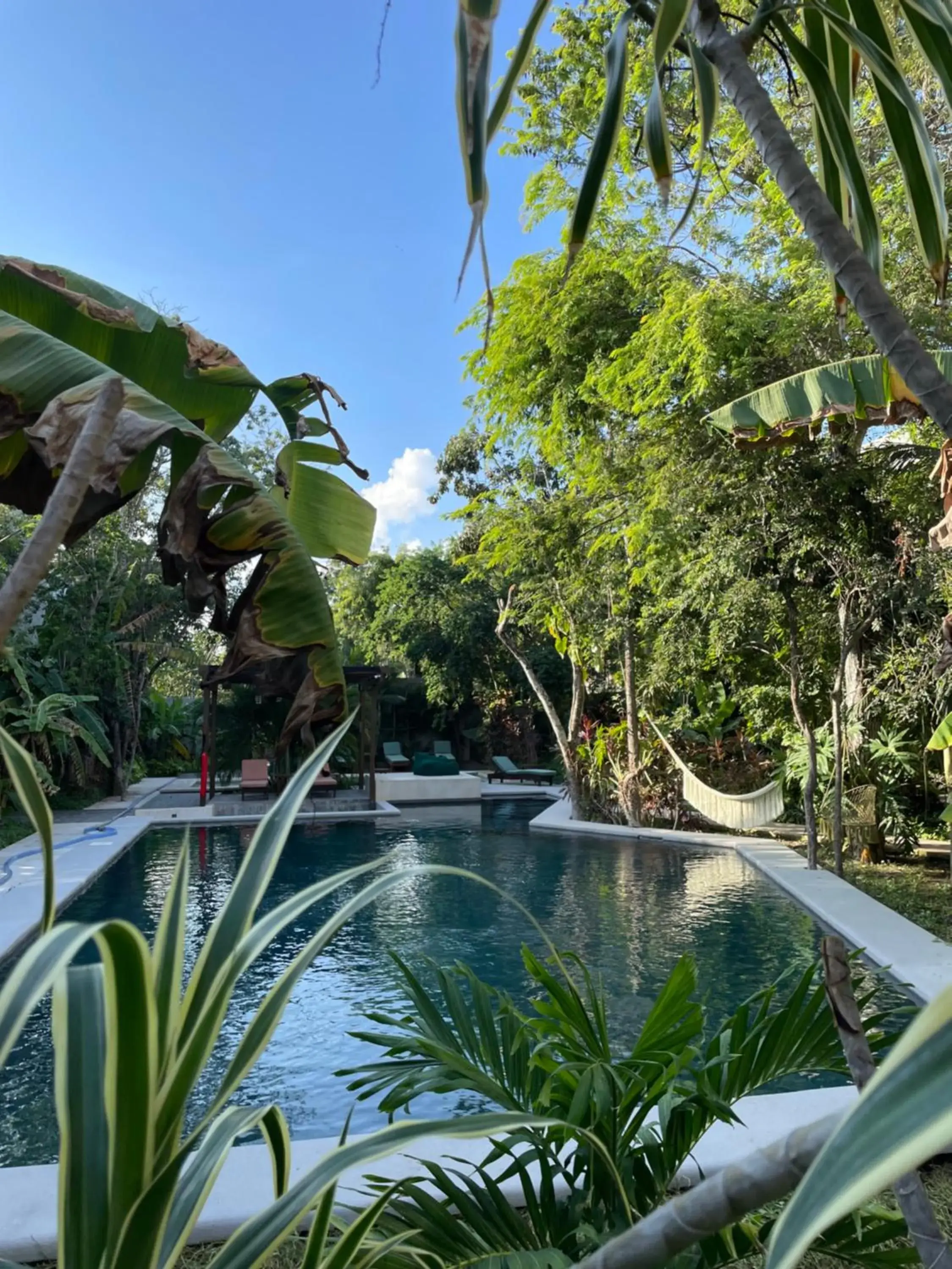 Pool view in Panacea Condo Tulum Pool view in Panacea Condo Tulum