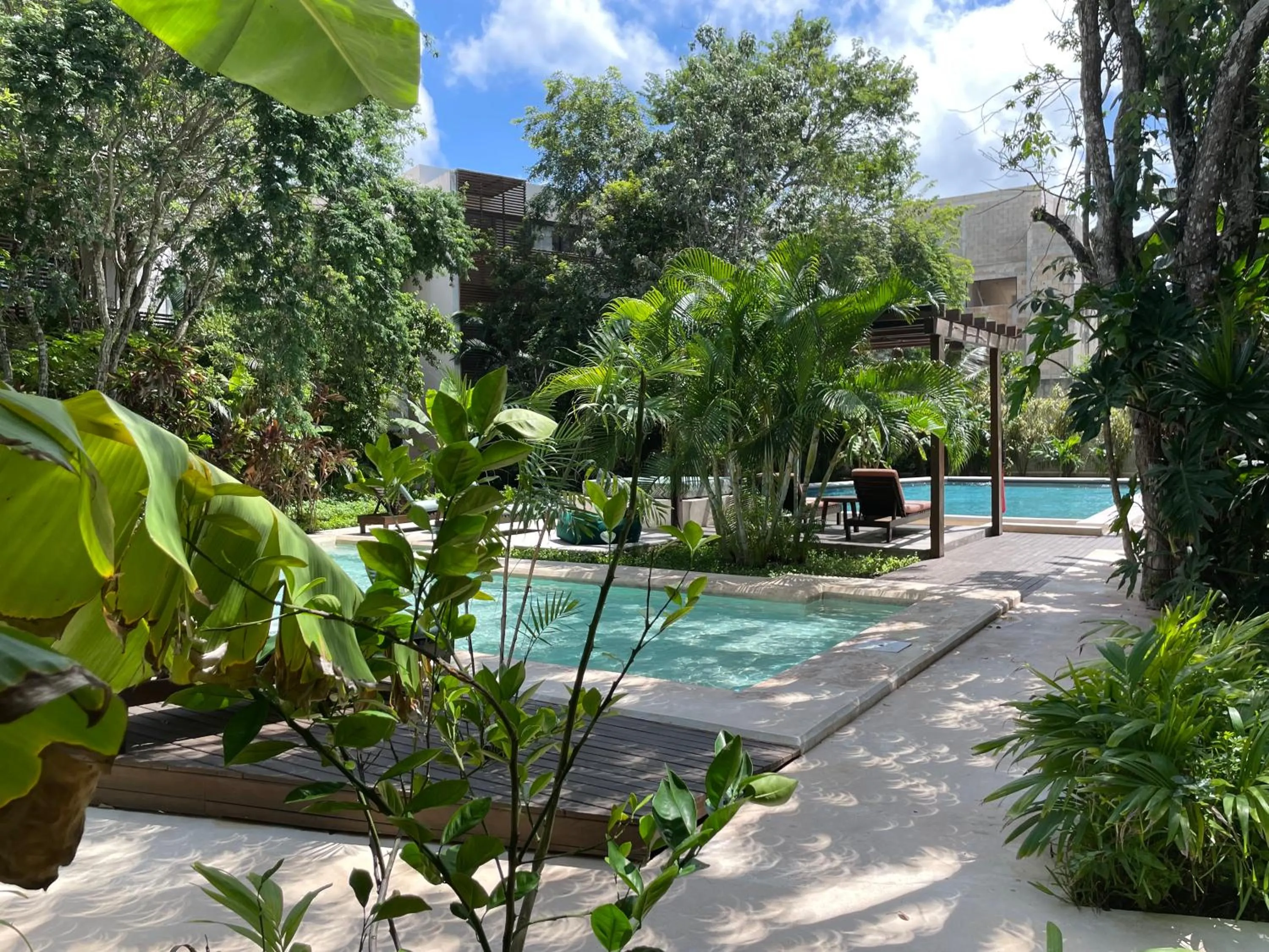 Swimming pool in Panacea Condo Tulum