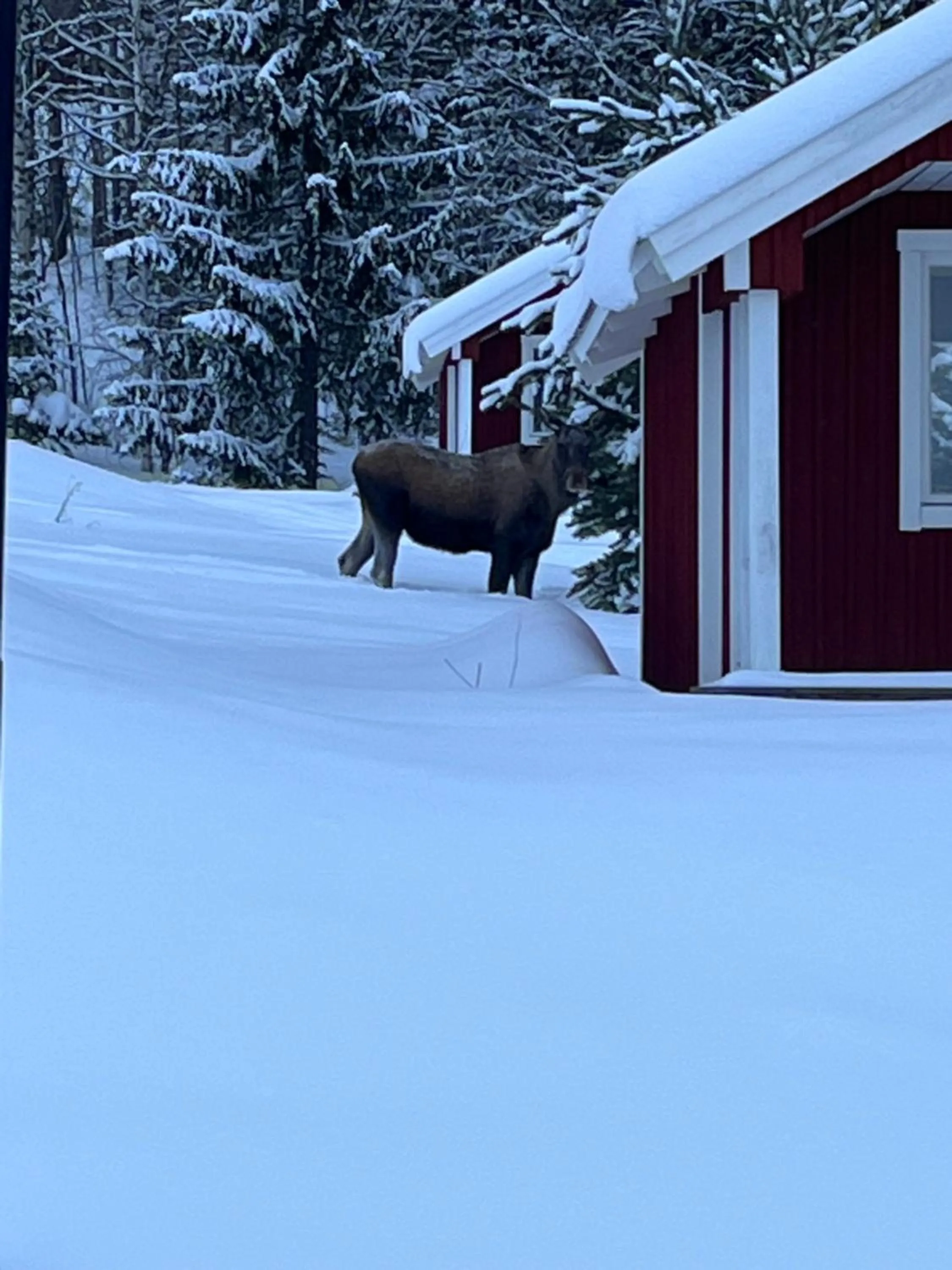 Winter in Hotell Hammarstrand