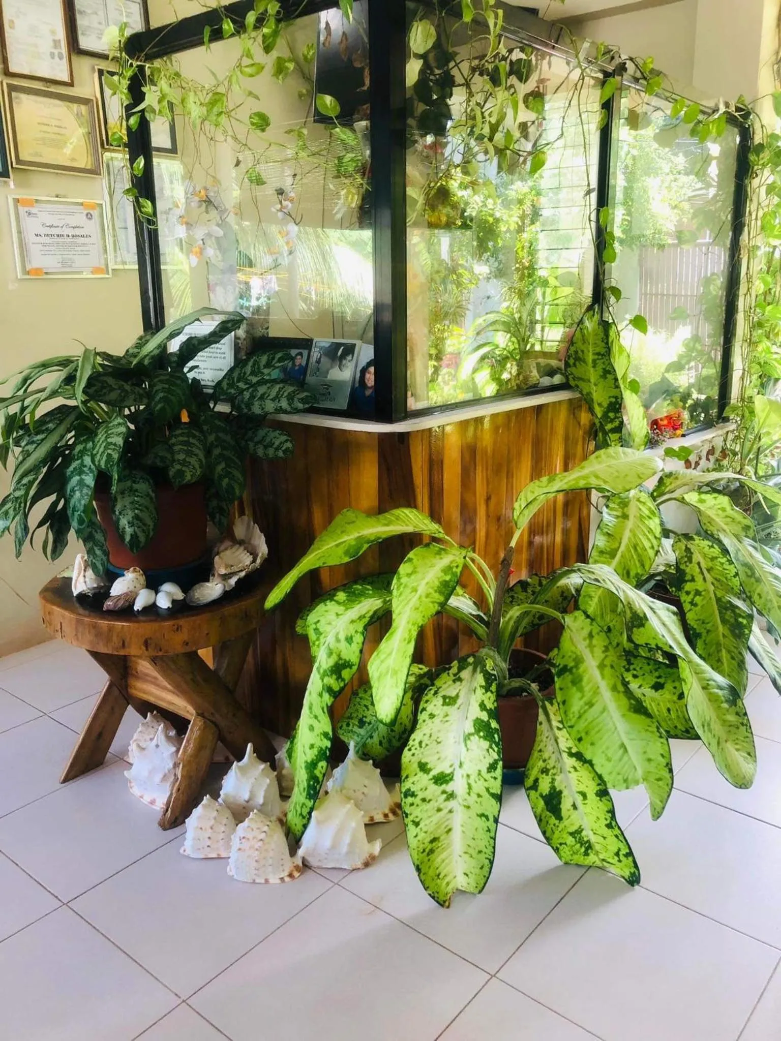 D's Oceanview Beach Resort