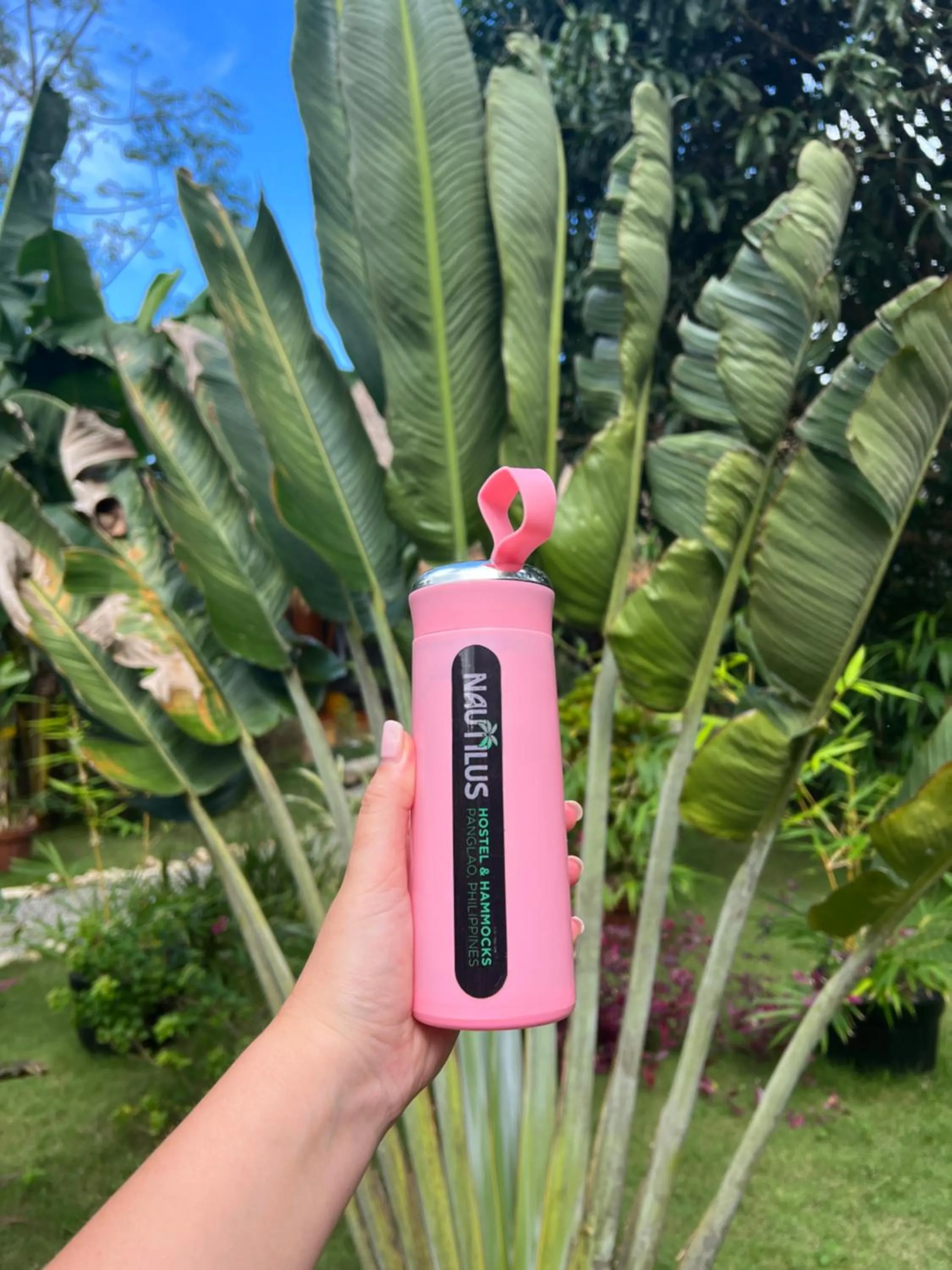 Garden in Nautilus Hostel & Hammocks