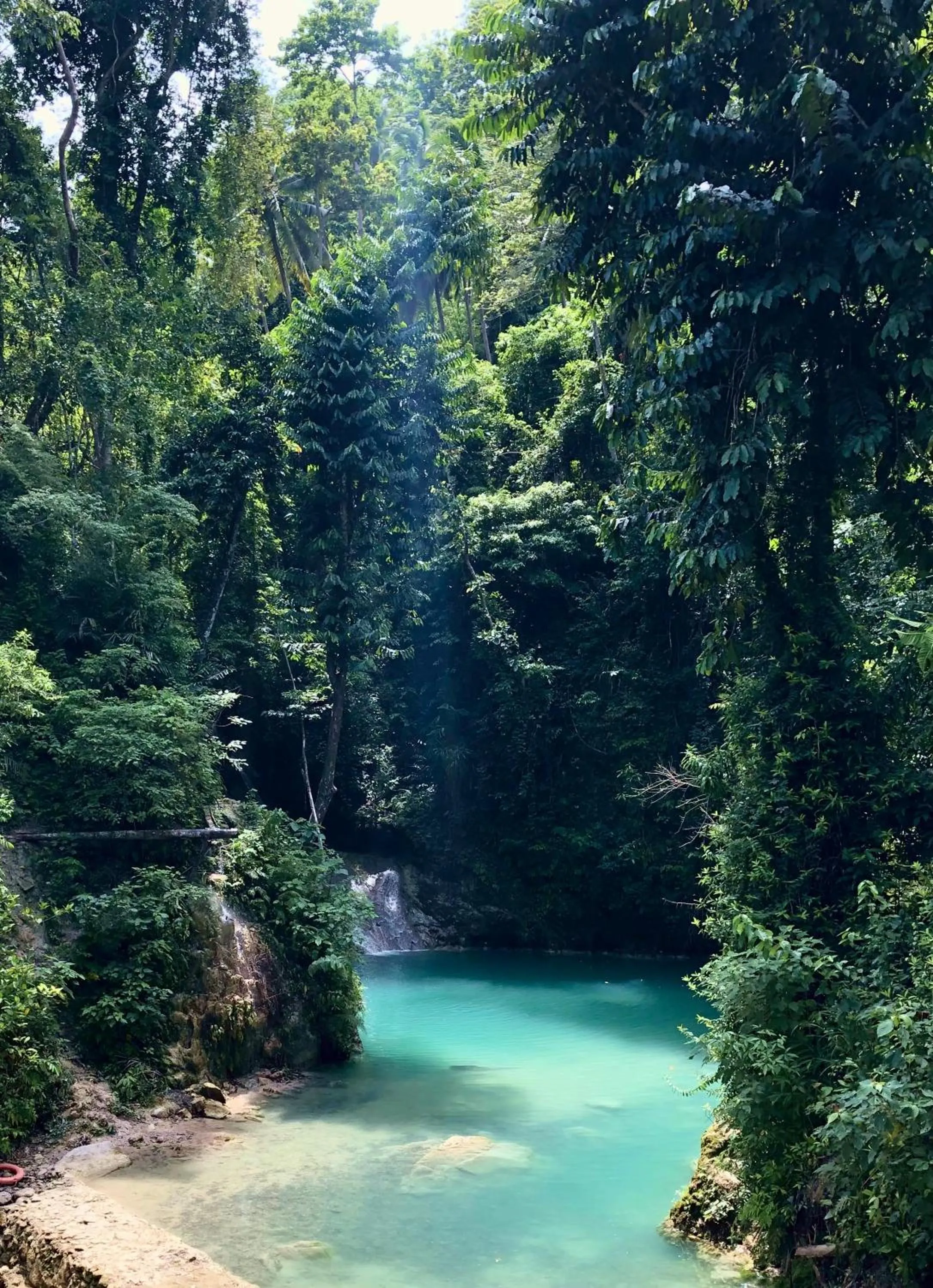 Activities in Nautilus Hostel & Hammocks