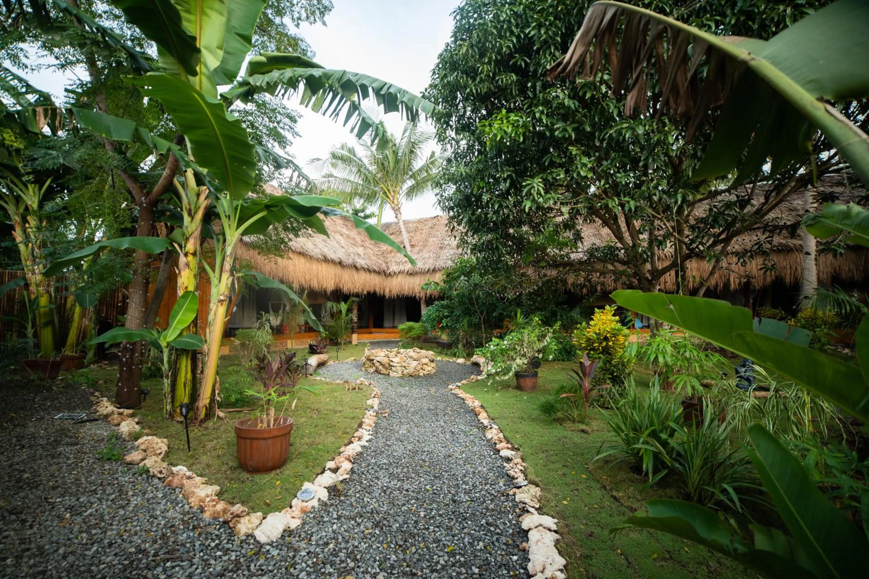 Garden in Nautilus Hostel & Hammocks