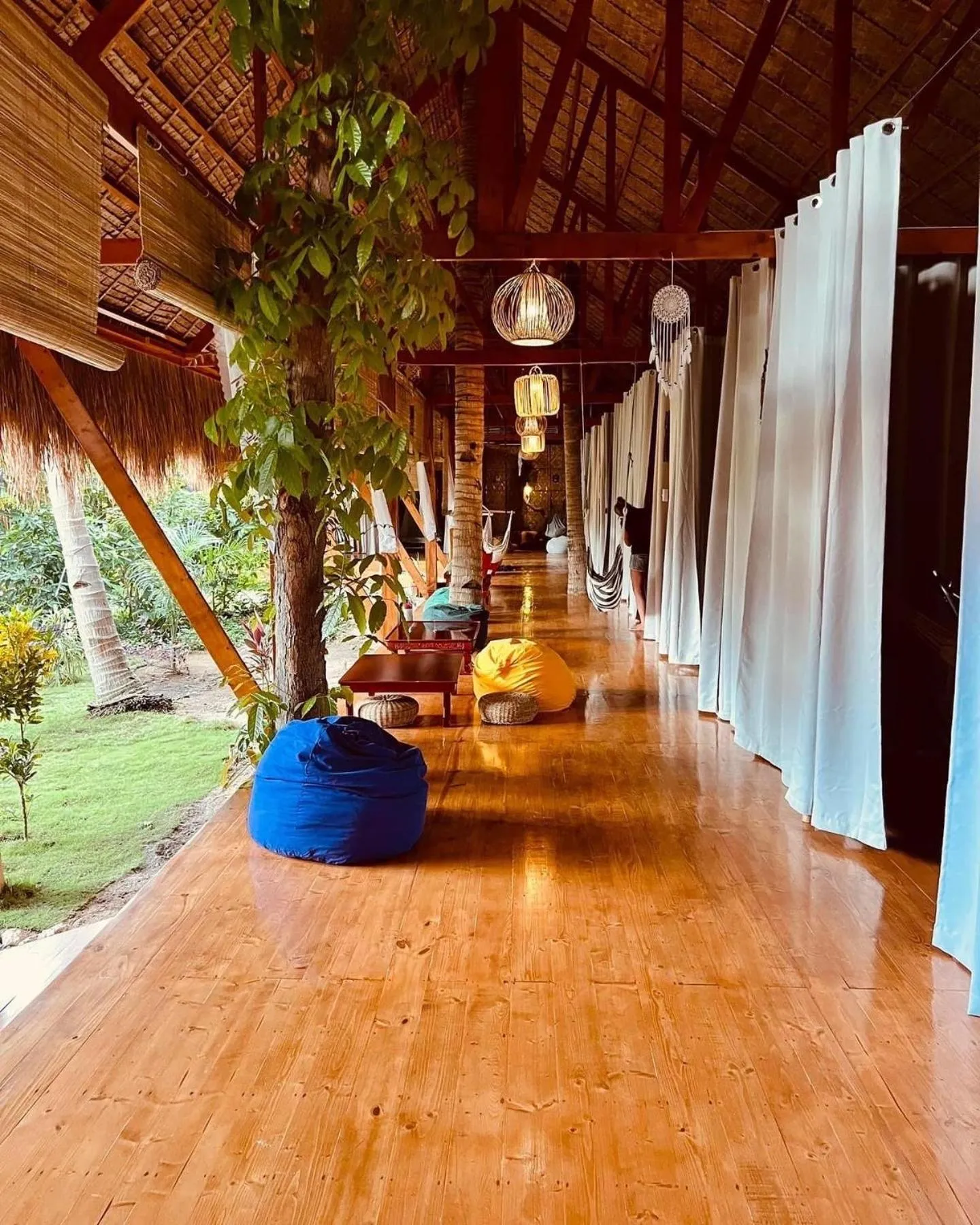 Property building in Nautilus Hostel & Hammocks