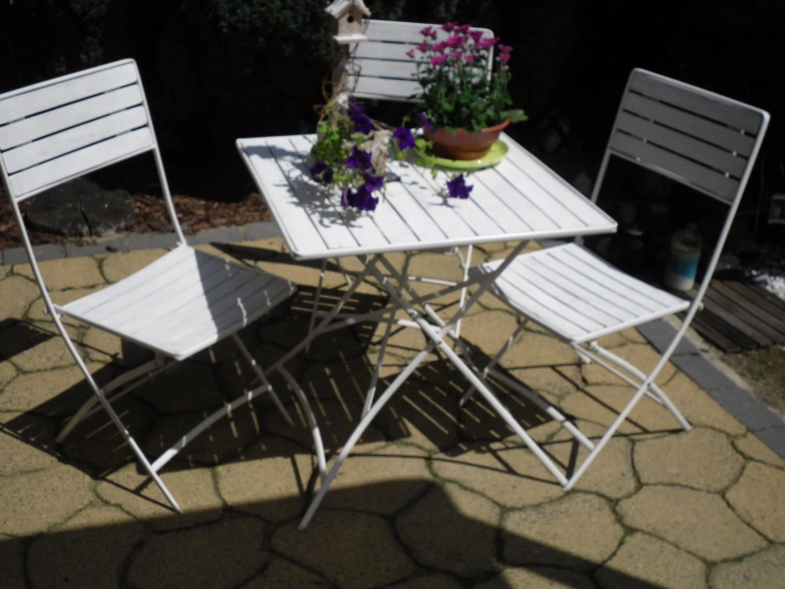 Garden in Rene's B&B