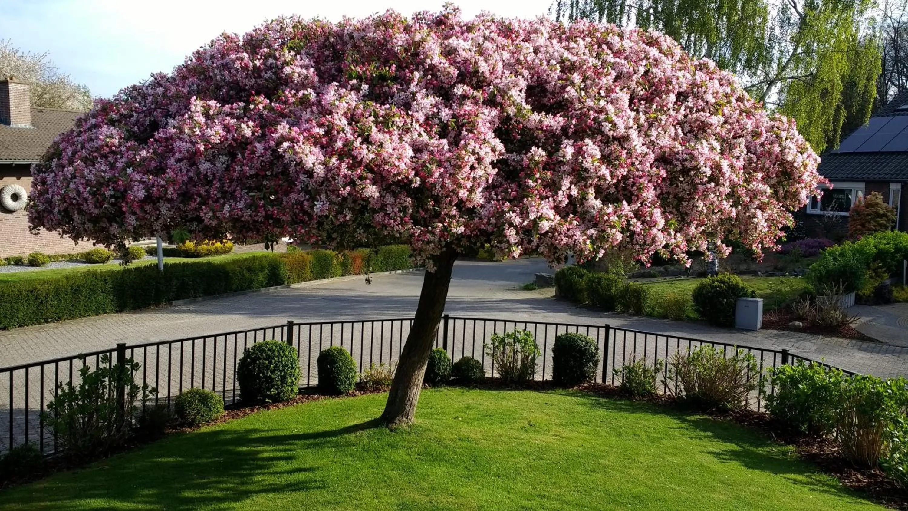 Garden in Rene's B&B