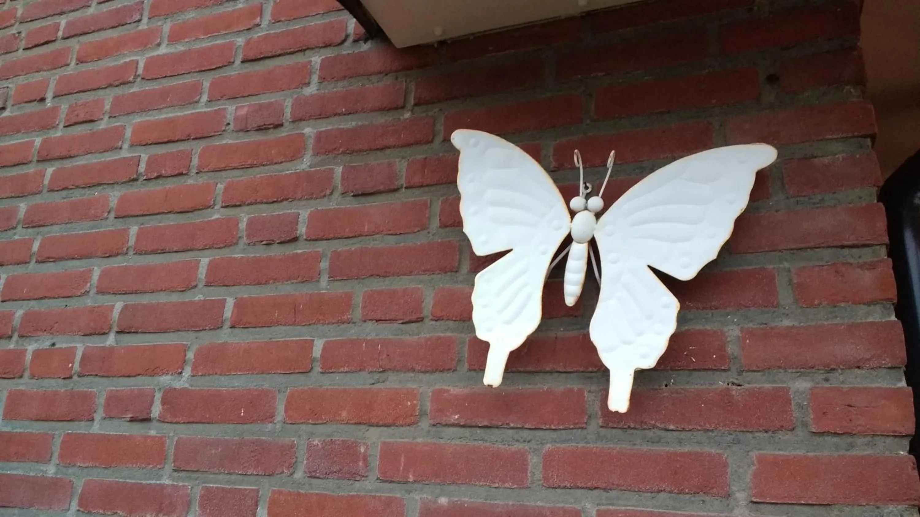 Garden in Rene's B&B