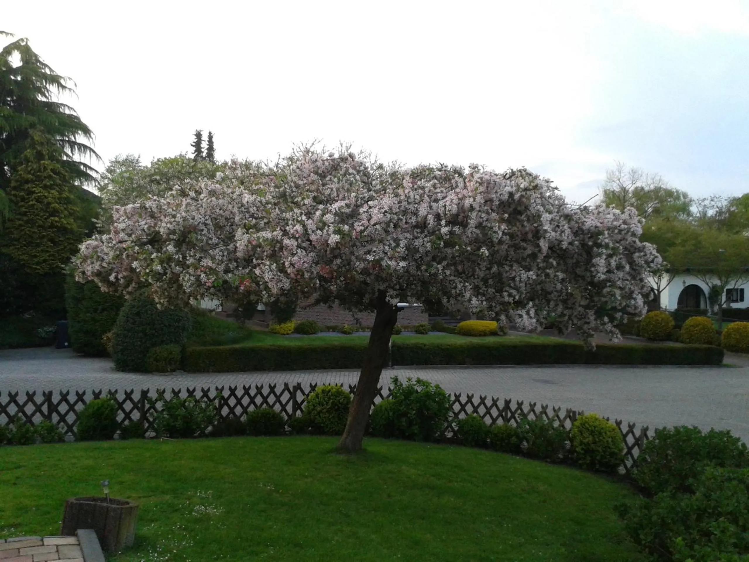 Garden in Rene's B&B