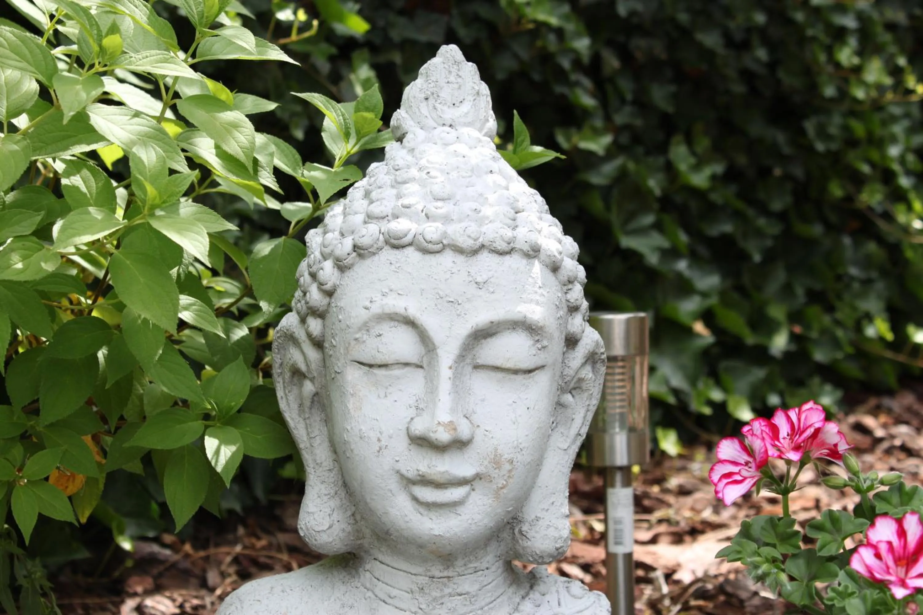 Garden in Rene's B&B