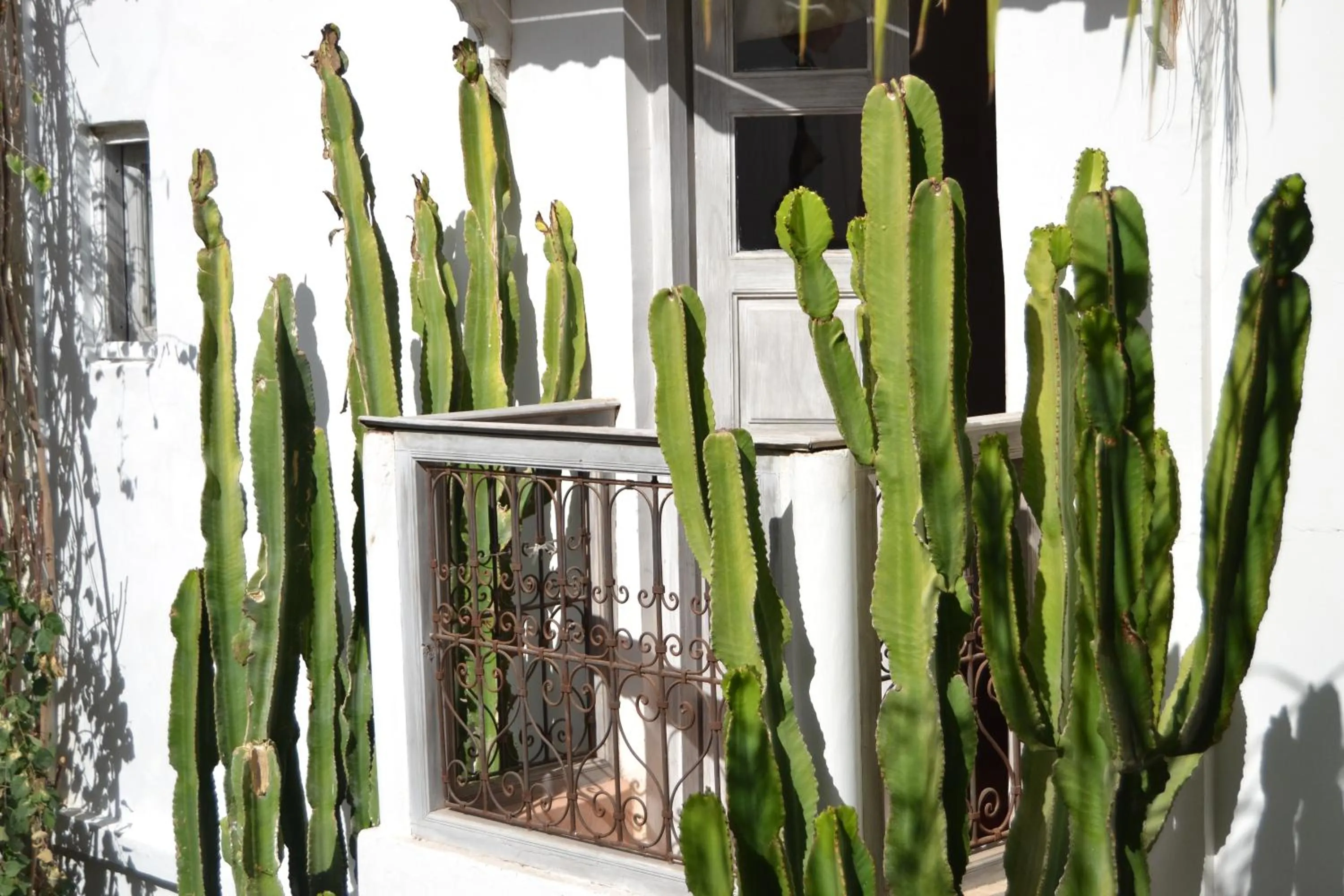Balcony/Terrace in Riad O2