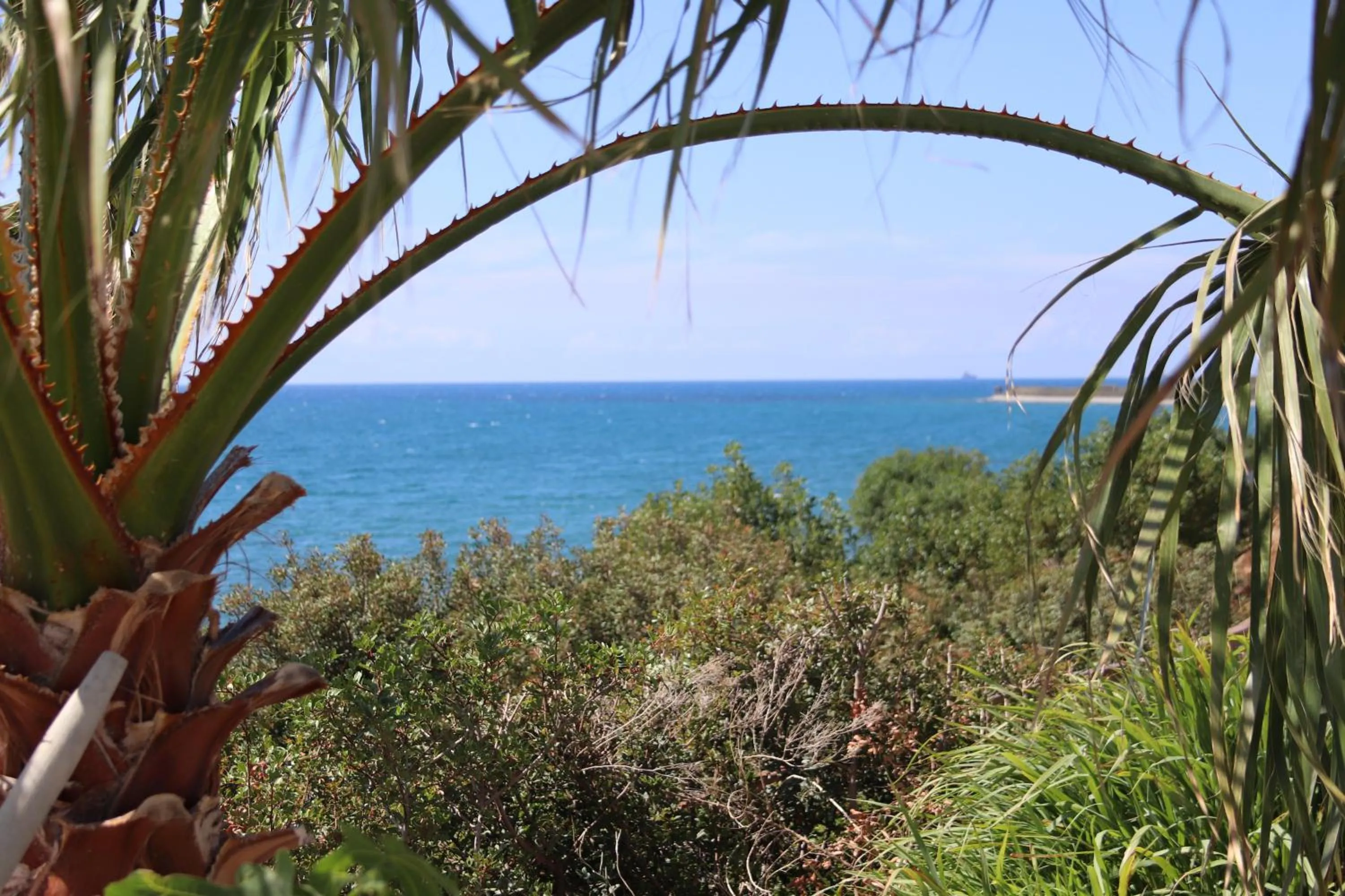 Summer Dream Cyprus