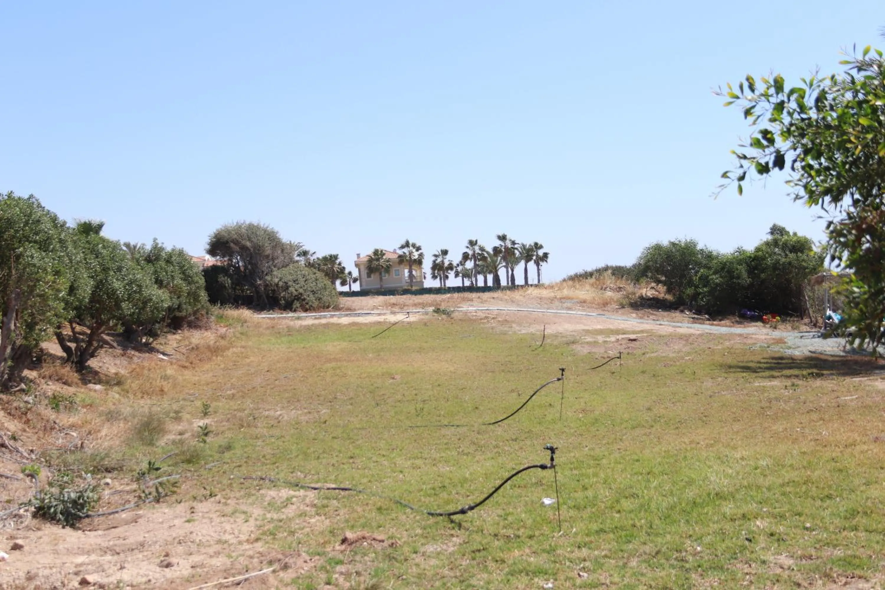 Summer Dream Cyprus