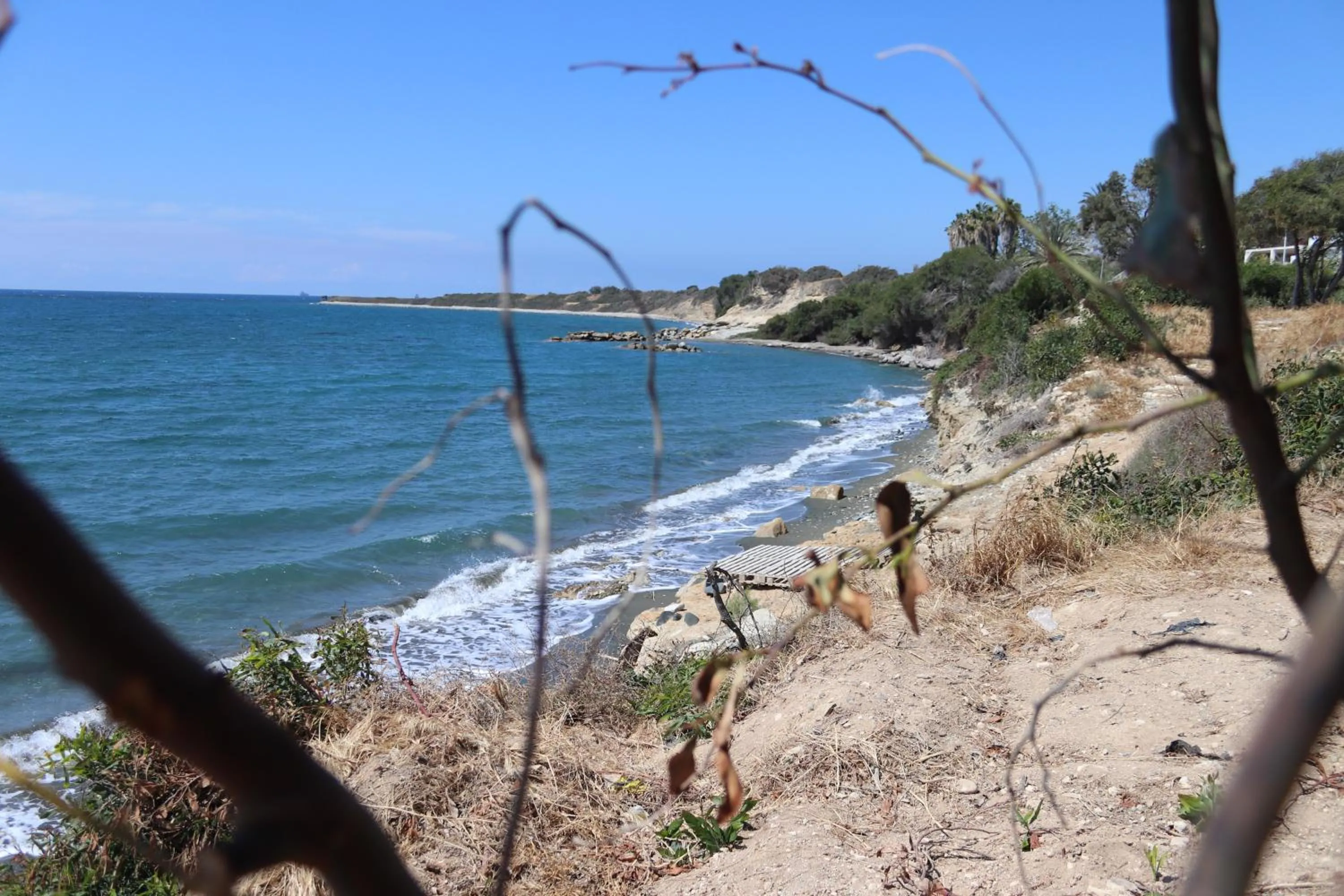 Summer Dream Cyprus