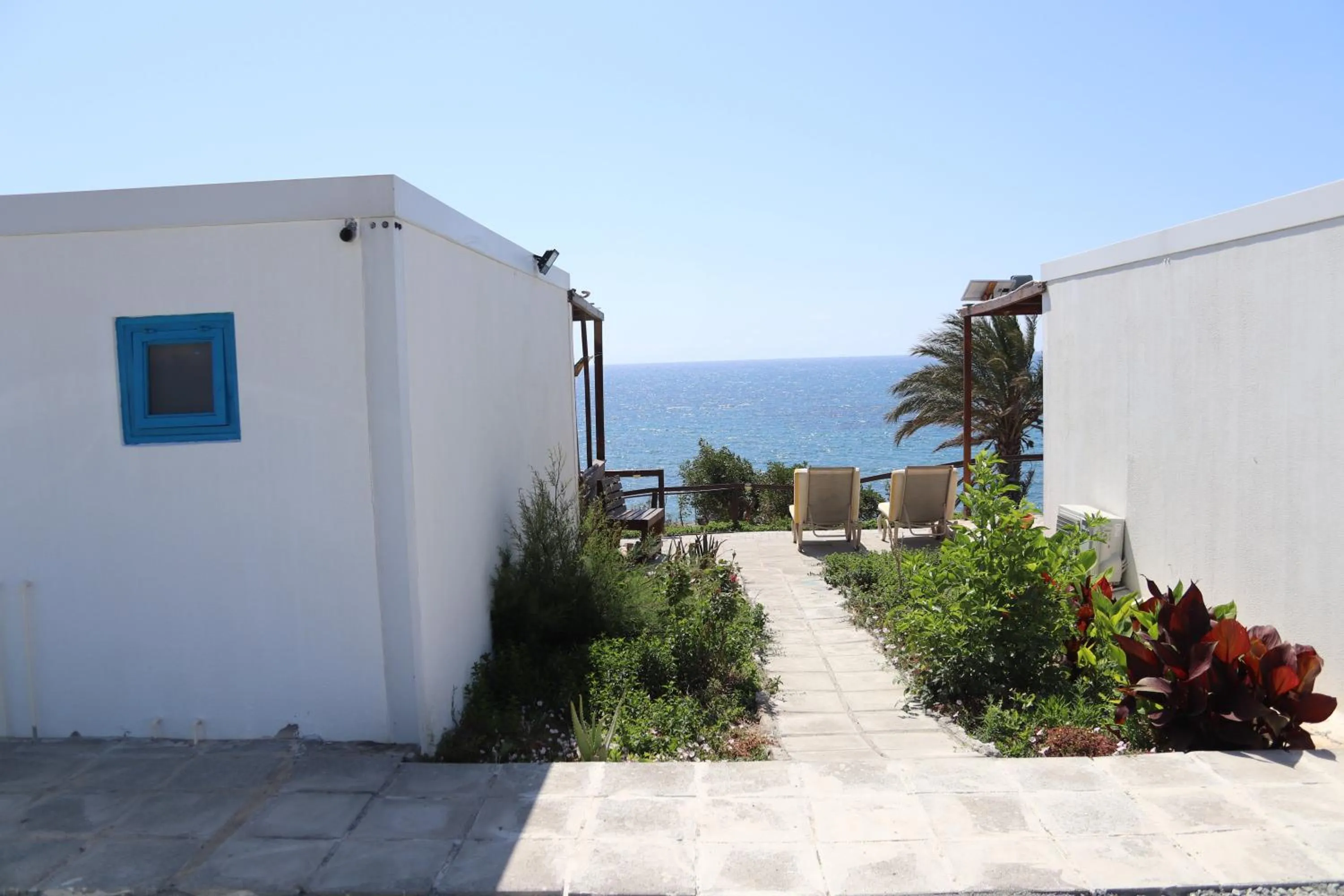 Summer Dream Cyprus