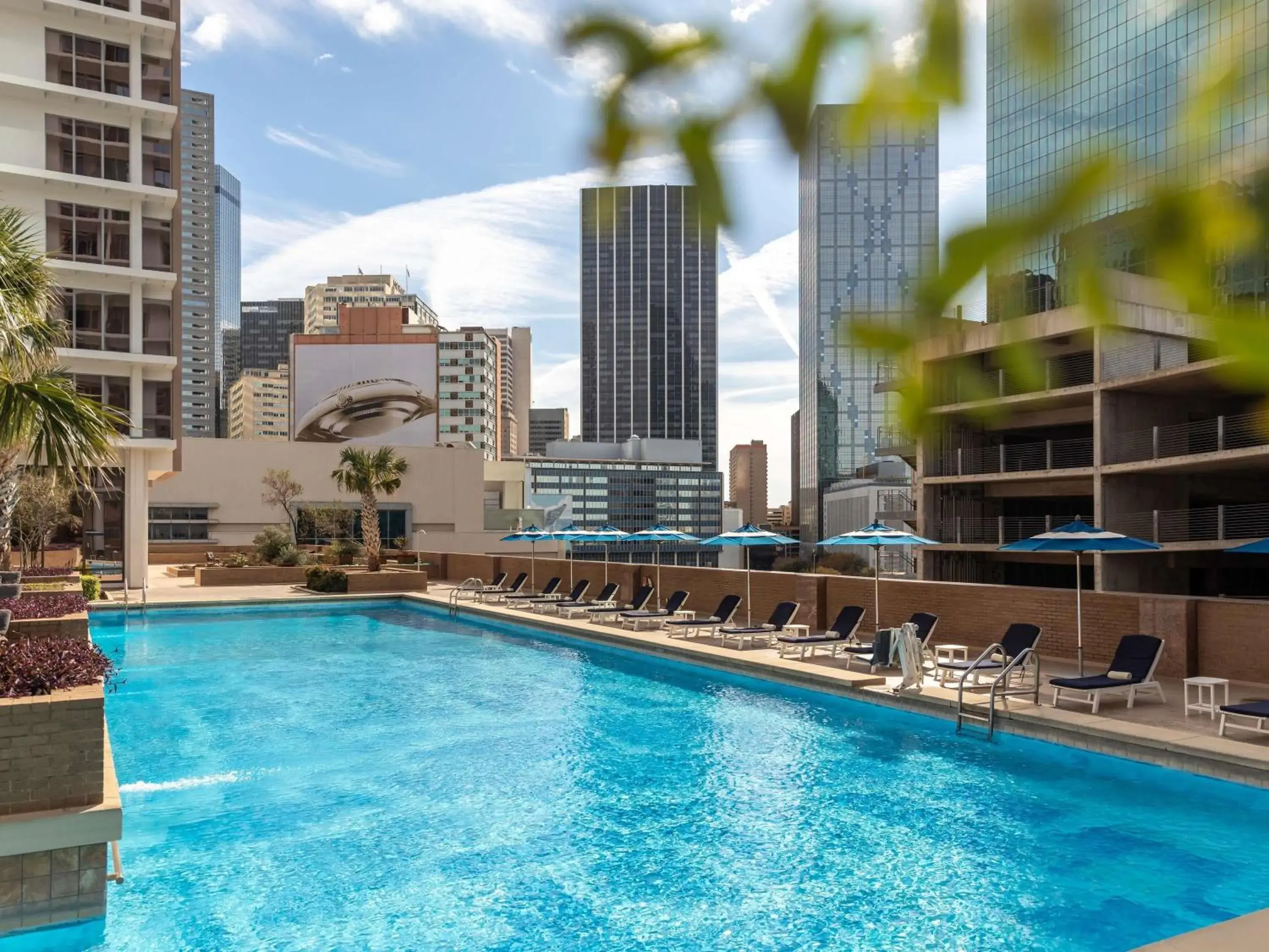 Pool view in Fairmont Dallas Pool view in Fairmont Dallas