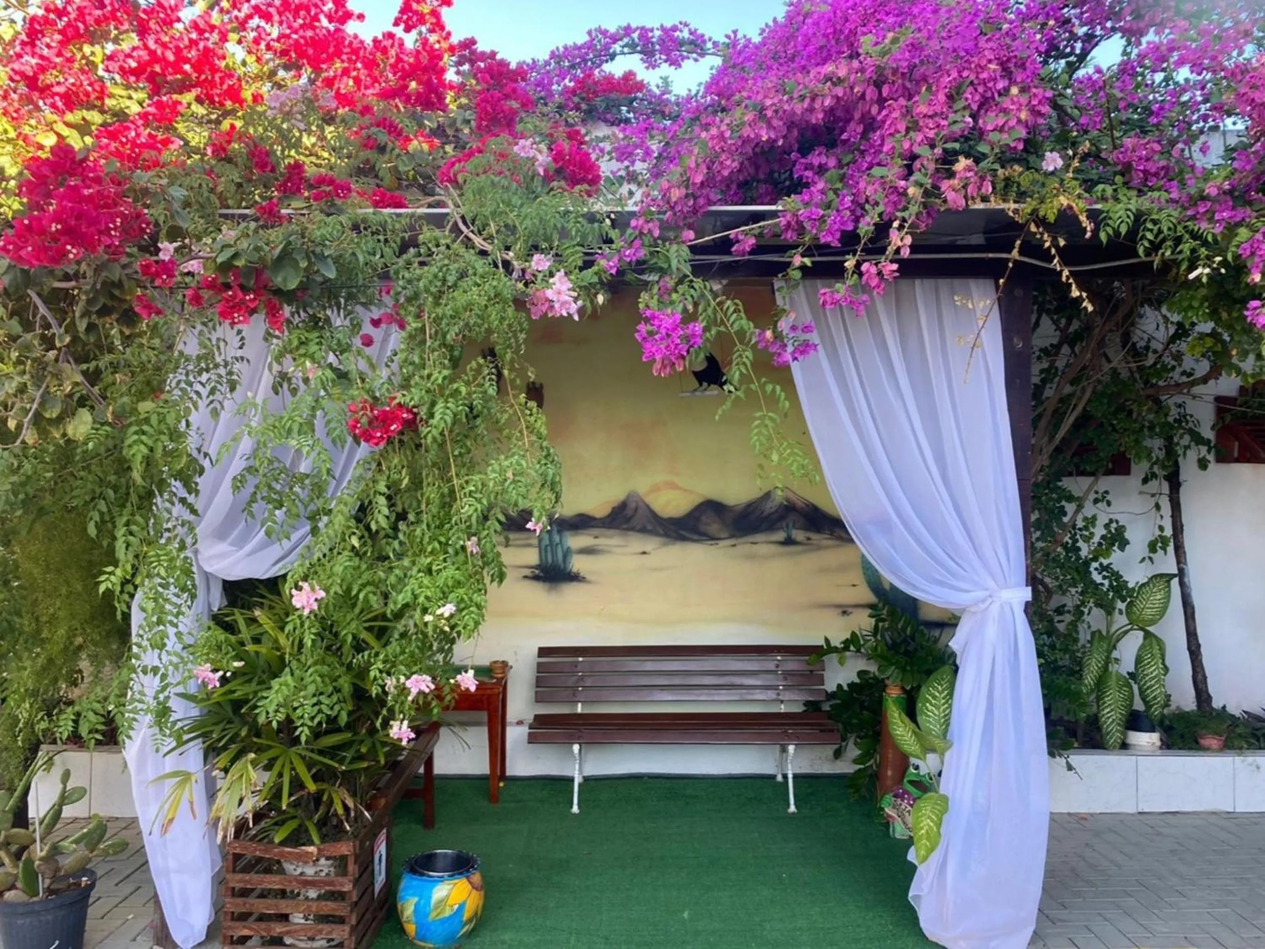 Garden in Hotel Aeroporto Star