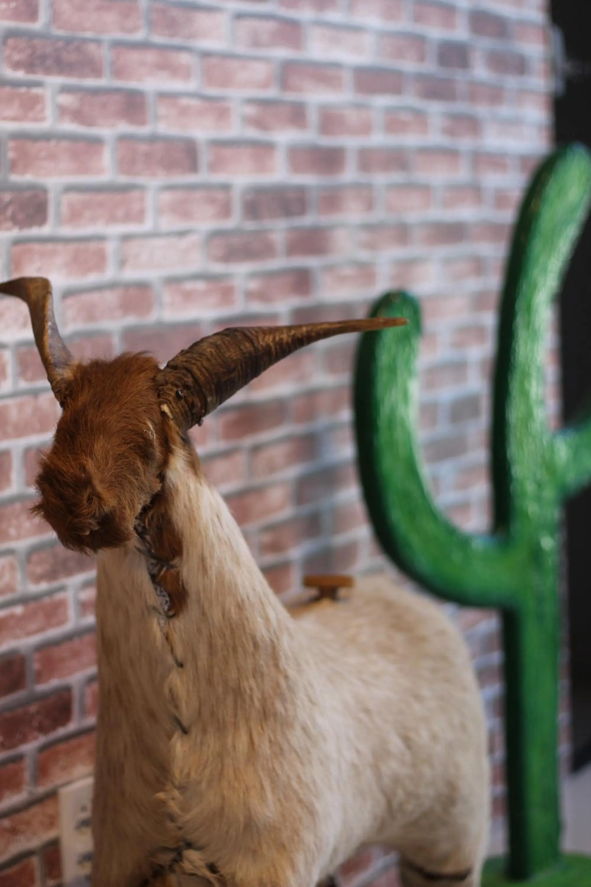 Hotel Aeroporto Star