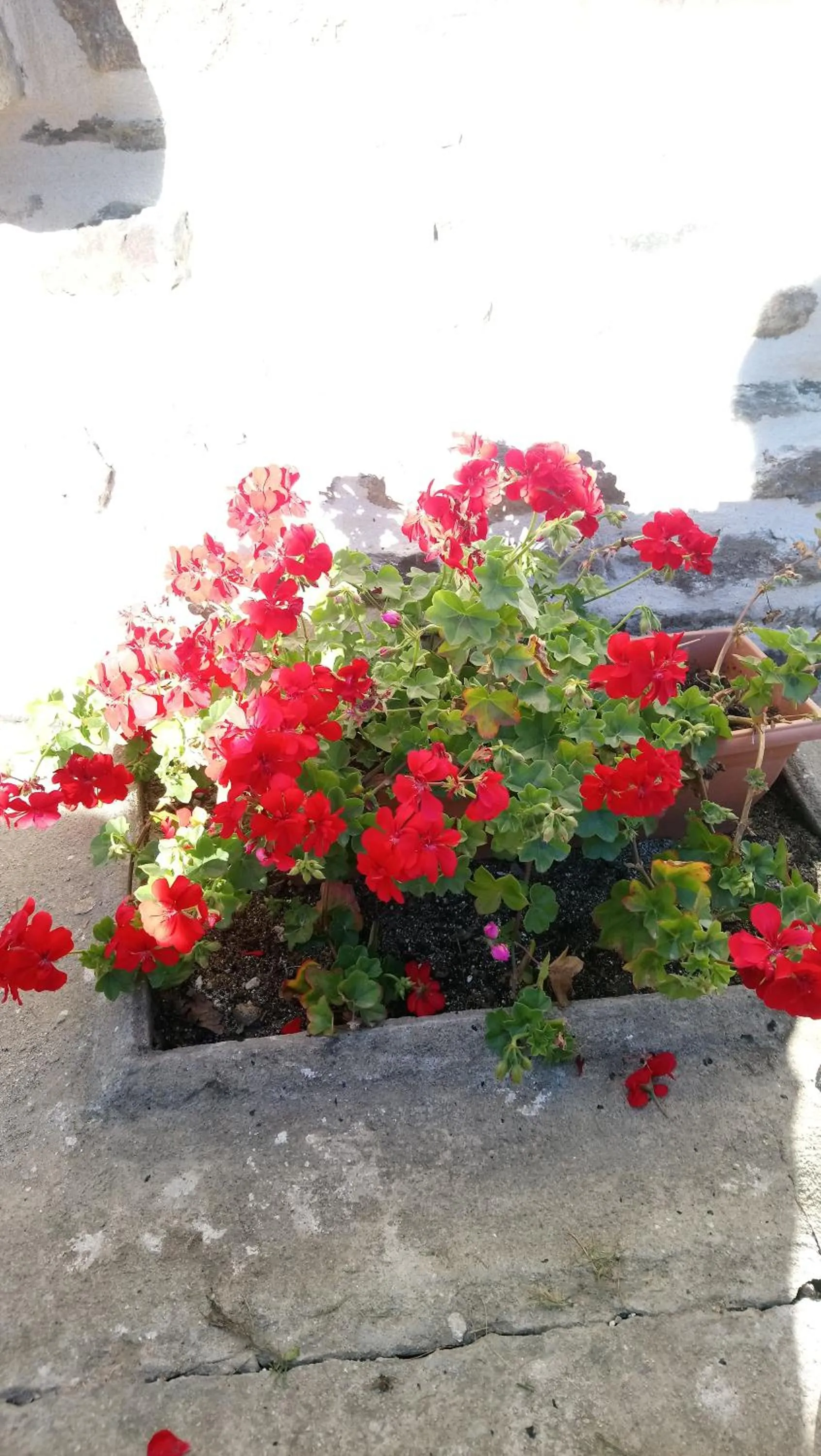 Property building in Frenes B&B