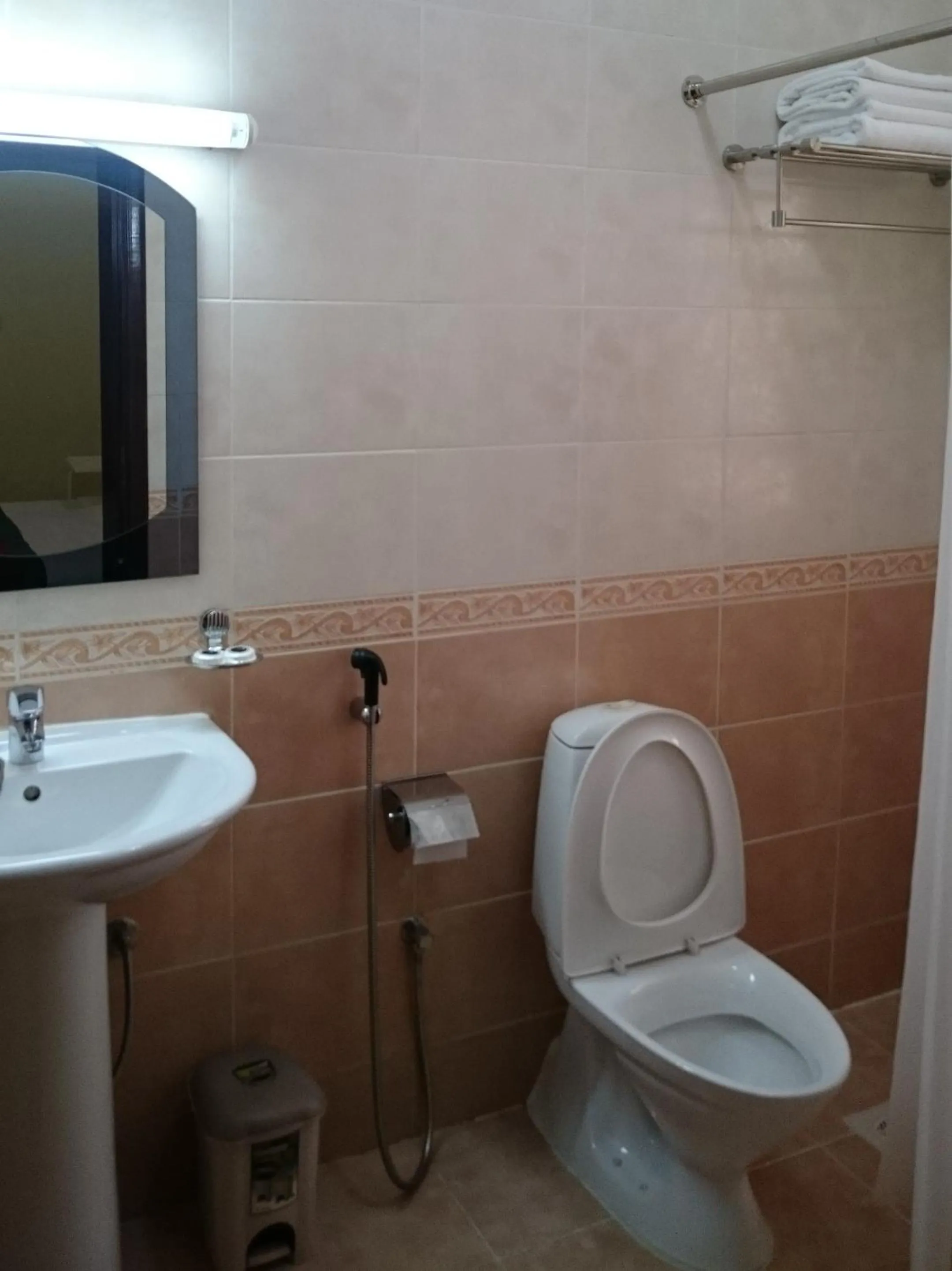 Toilet in Muscat International Hotel