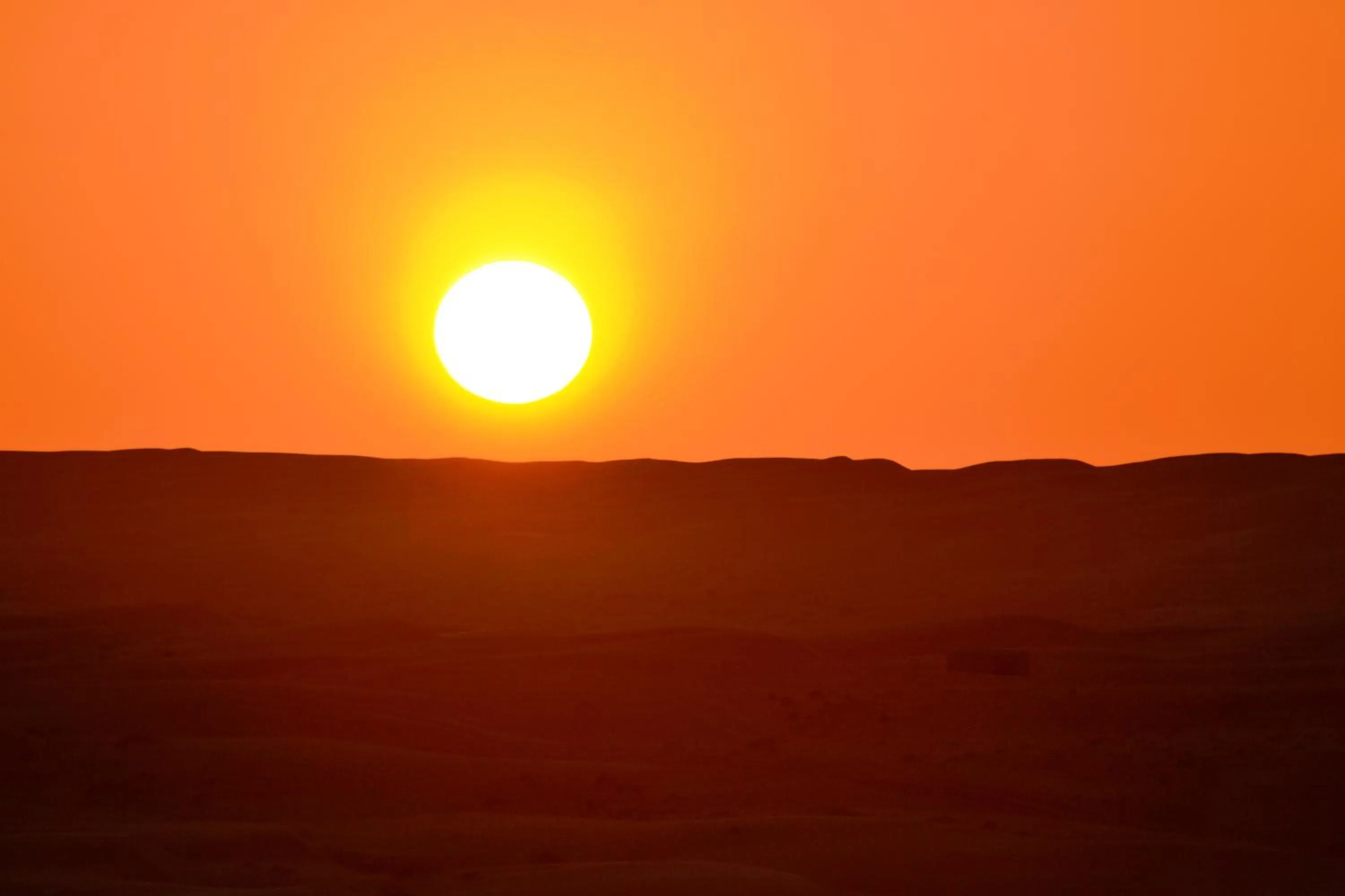 Activities in Arabian Oryx Camp