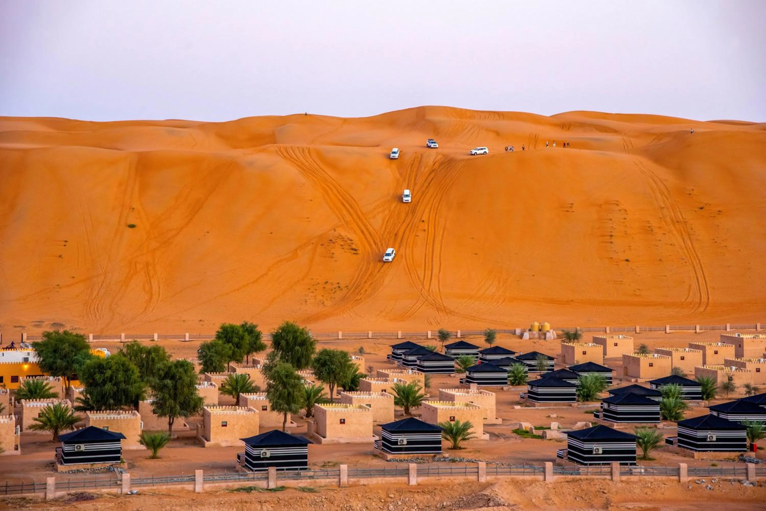 Bird's eye view in Arabian Oryx Camp