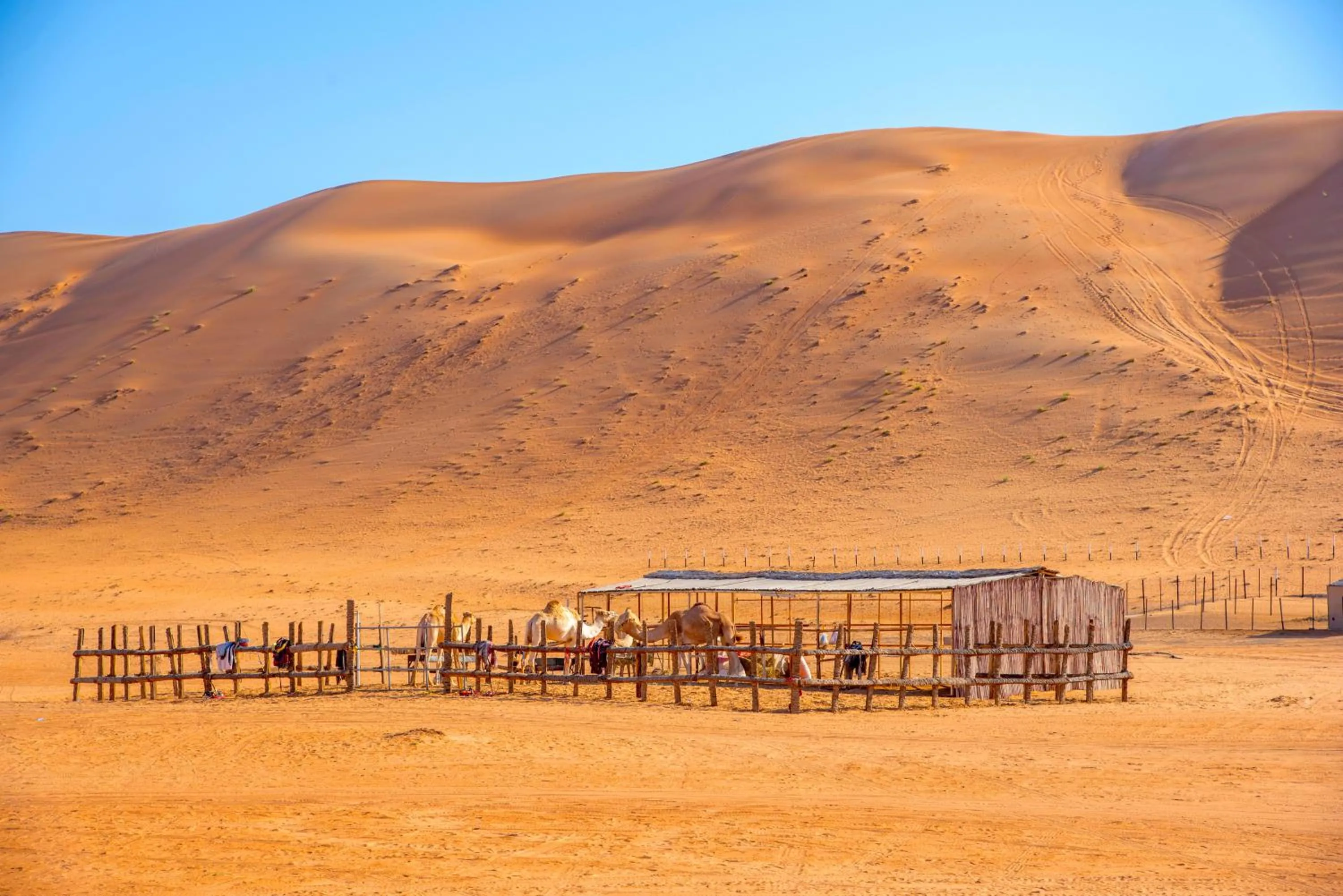 Natural landscape in Arabian Oryx Camp