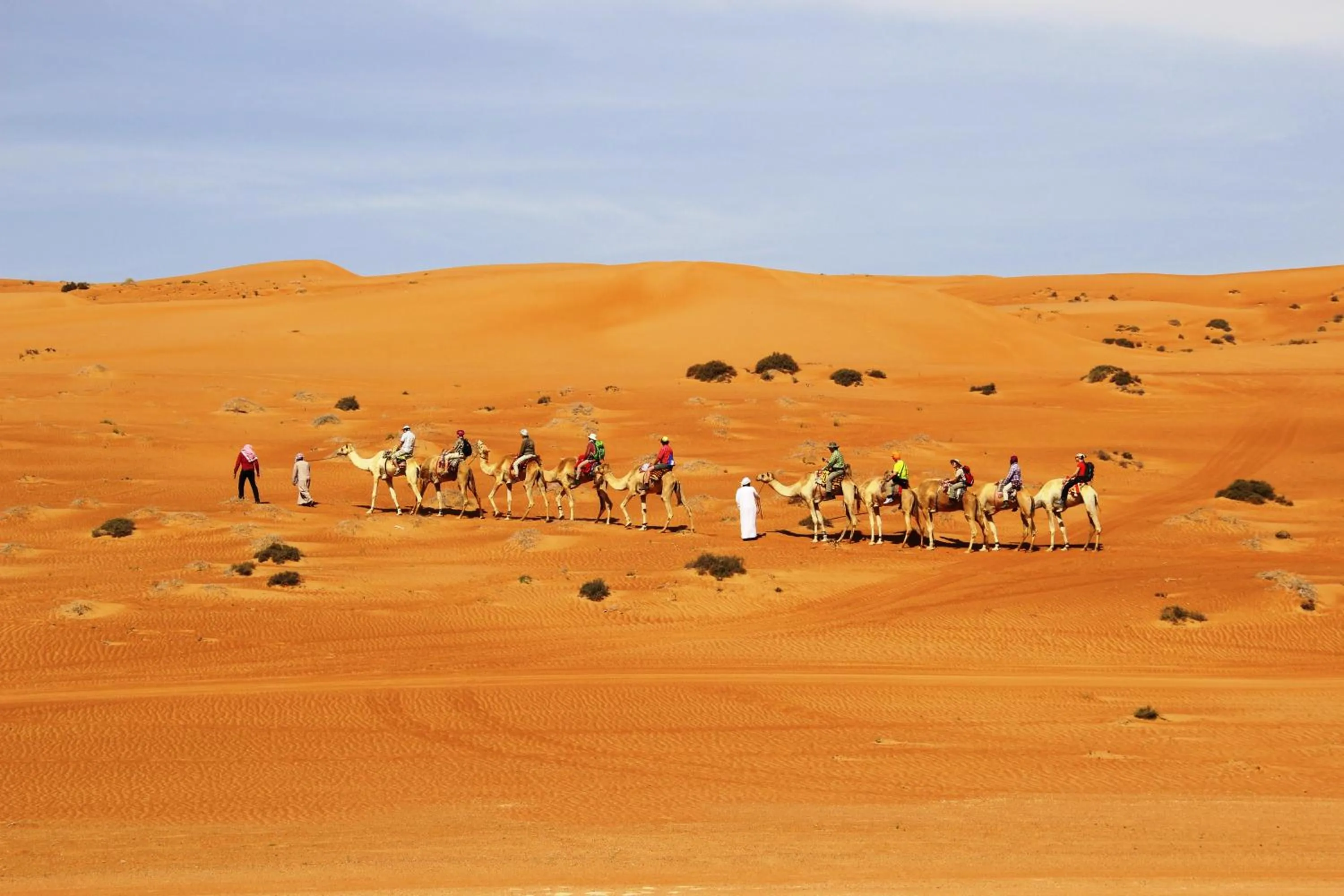 Activities in Arabian Oryx Camp