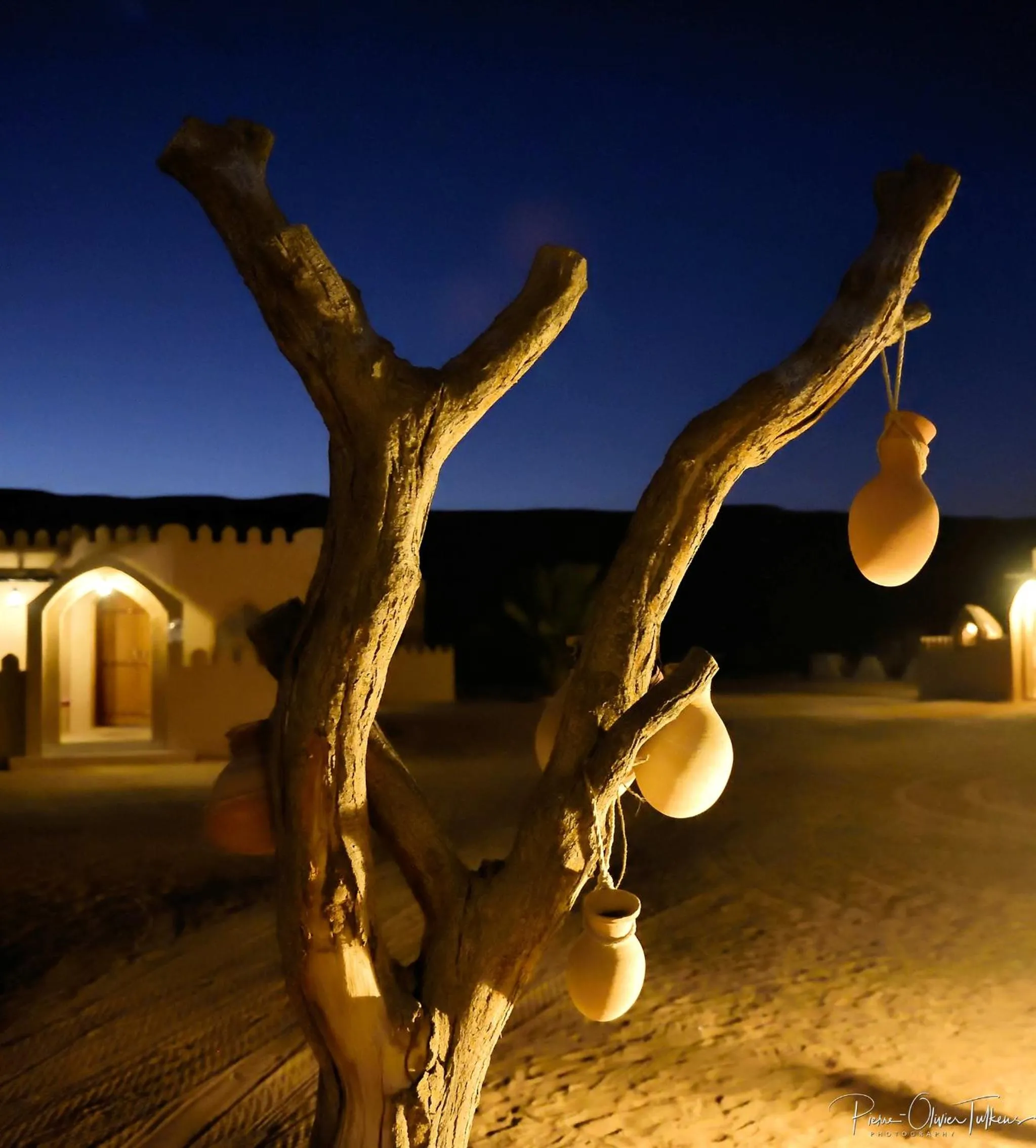 Area and facilities in Arabian Oryx Camp