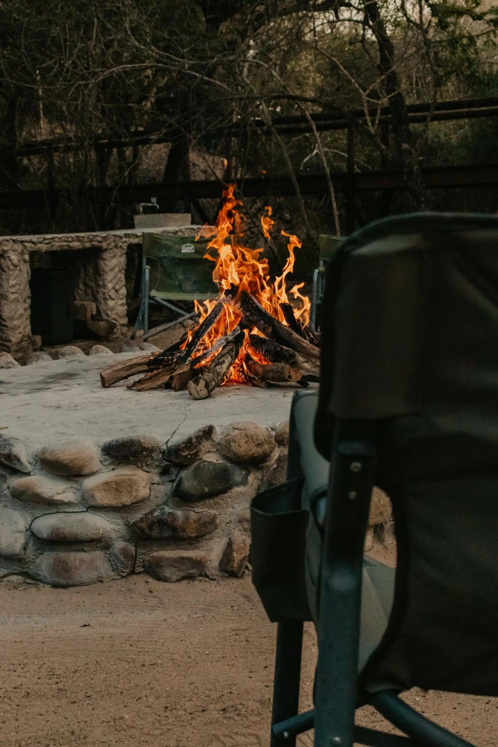 flat iron in Panzi Lodge