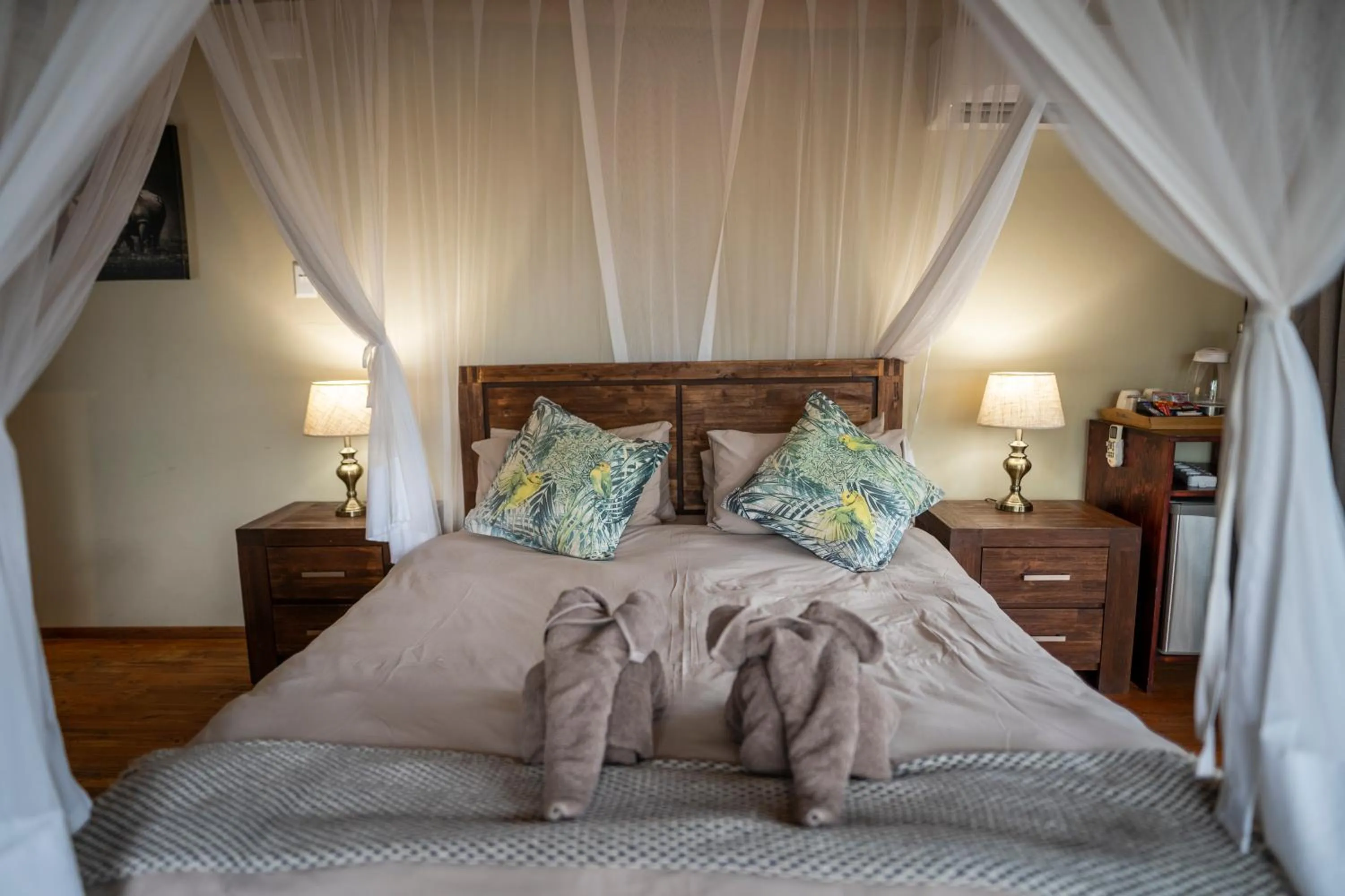  Double Room - single occupancy in Panzi Lodge