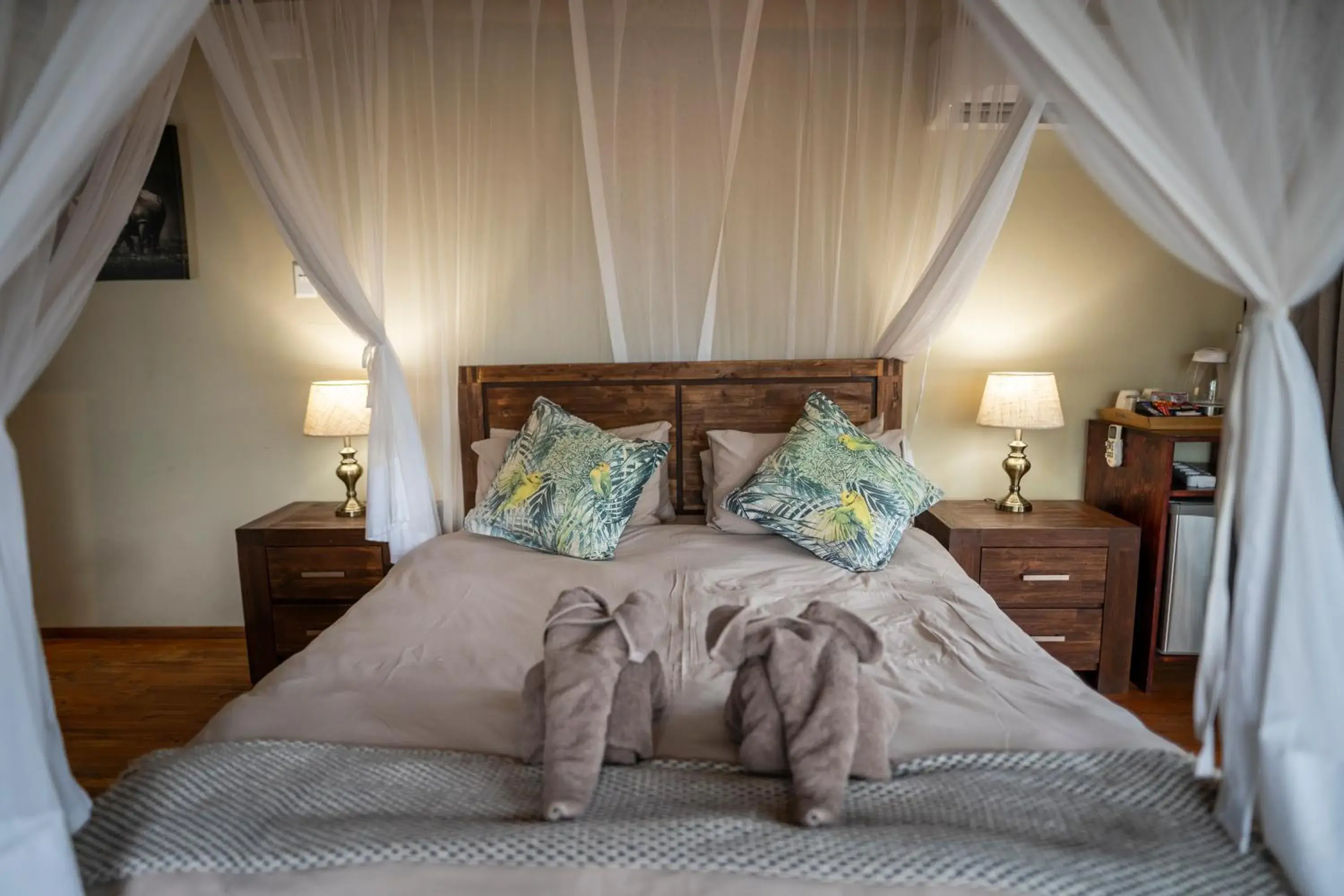 Double Room - single occupancy in Panzi Lodge Double Room - single occupancy in Panzi Lodge