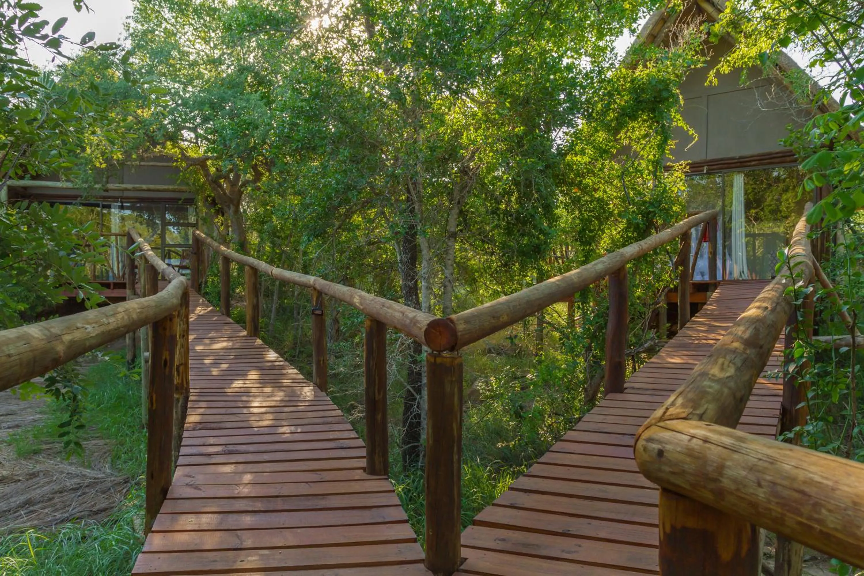 Garden in Panzi Lodge