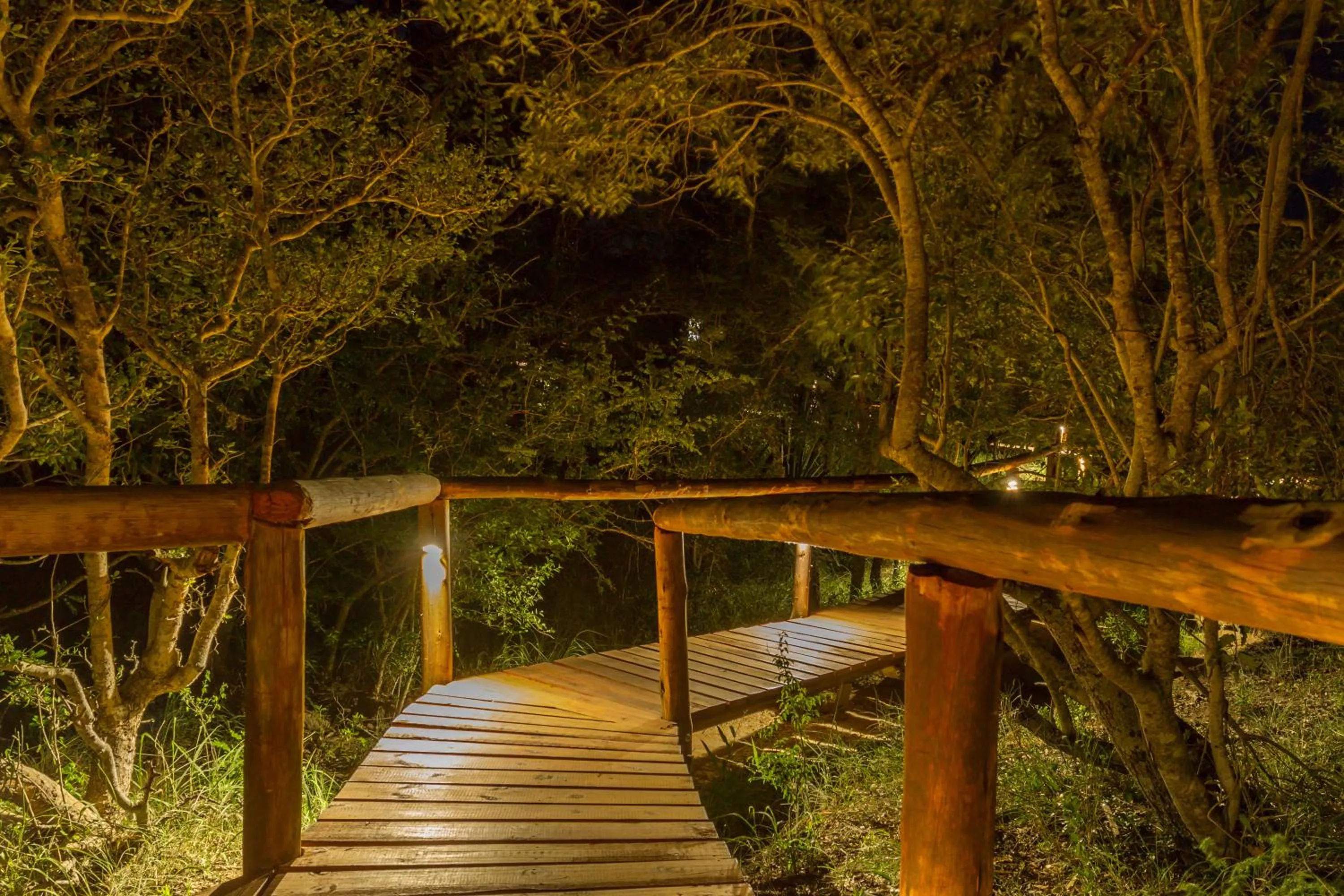 Garden in Panzi Lodge
