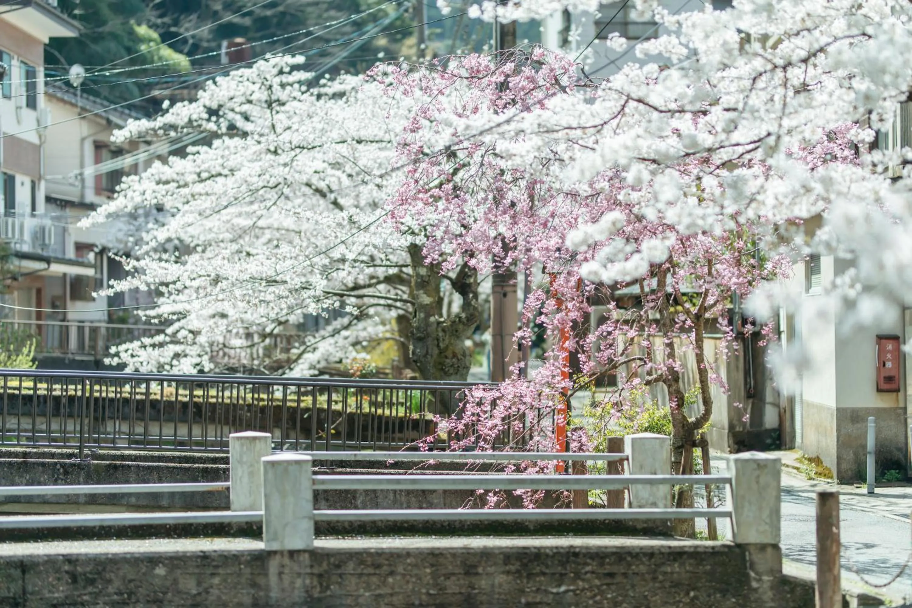 Natural landscape in Sensui
