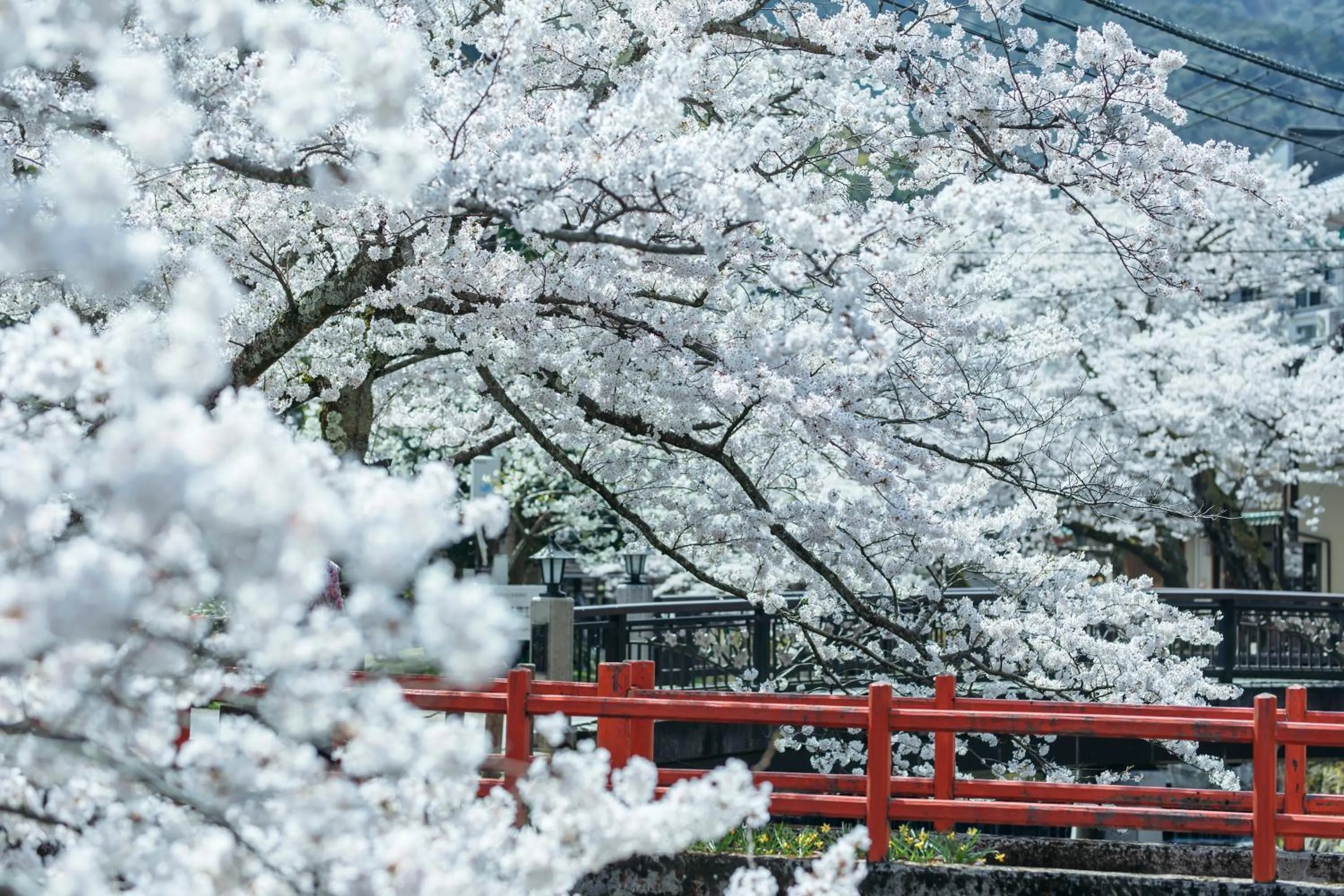 Natural landscape in Sensui