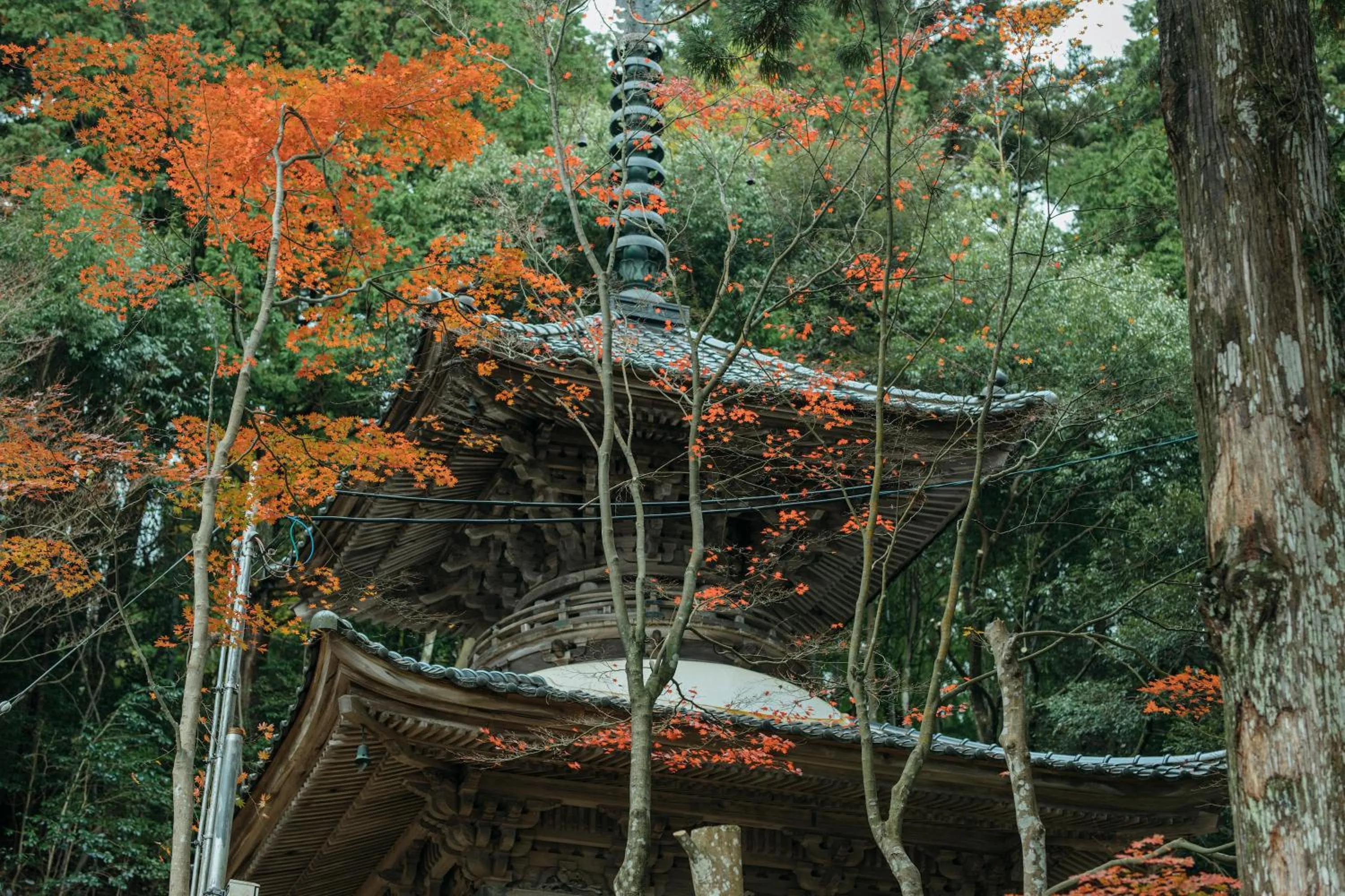 Nearby landmark in Sensui