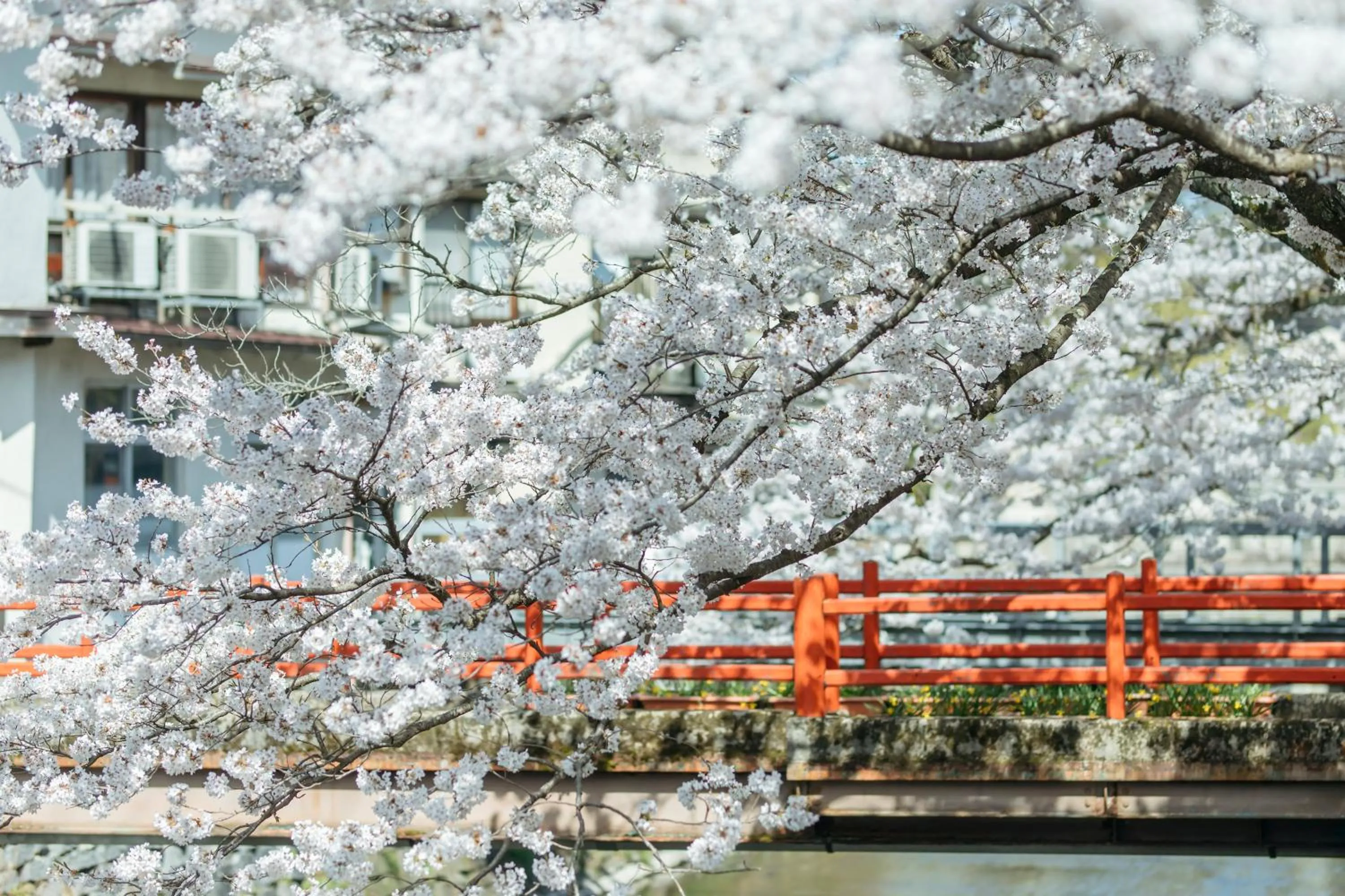 Nearby landmark in Sensui