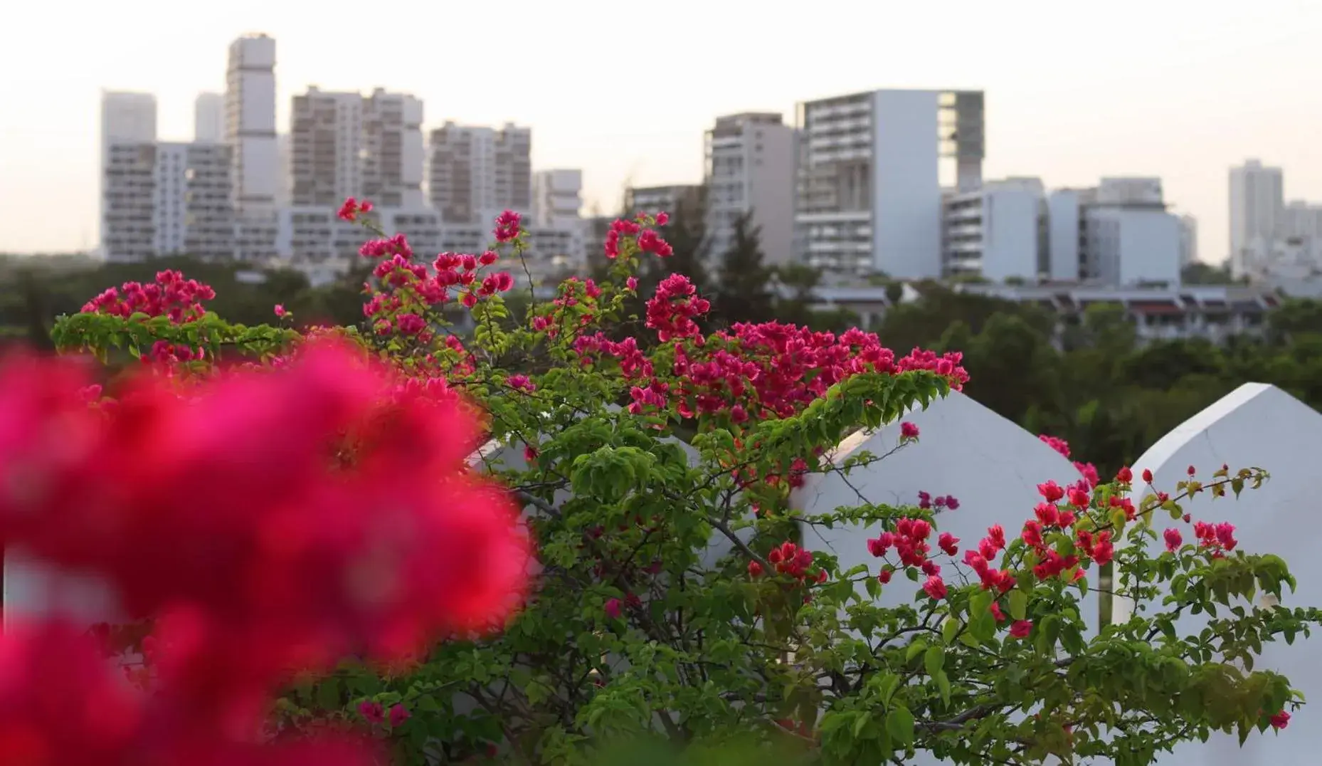 Balcony/Terrace in Chloe Gallery Balcony/Terrace in Chloe Gallery