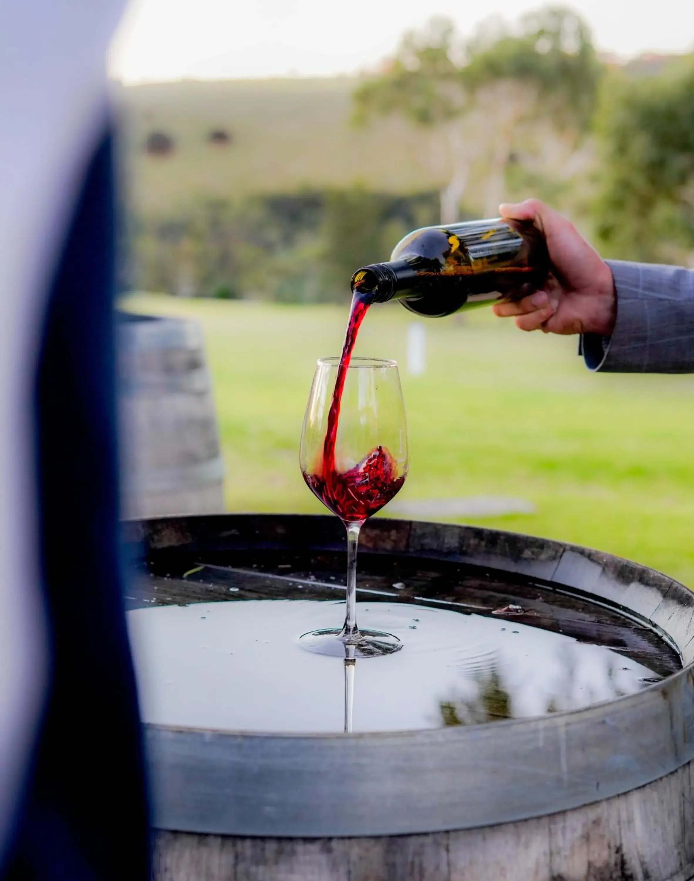 Lounge or bar in BreakFree Wirrina Cove Lounge or bar in BreakFree Wirrina Cove