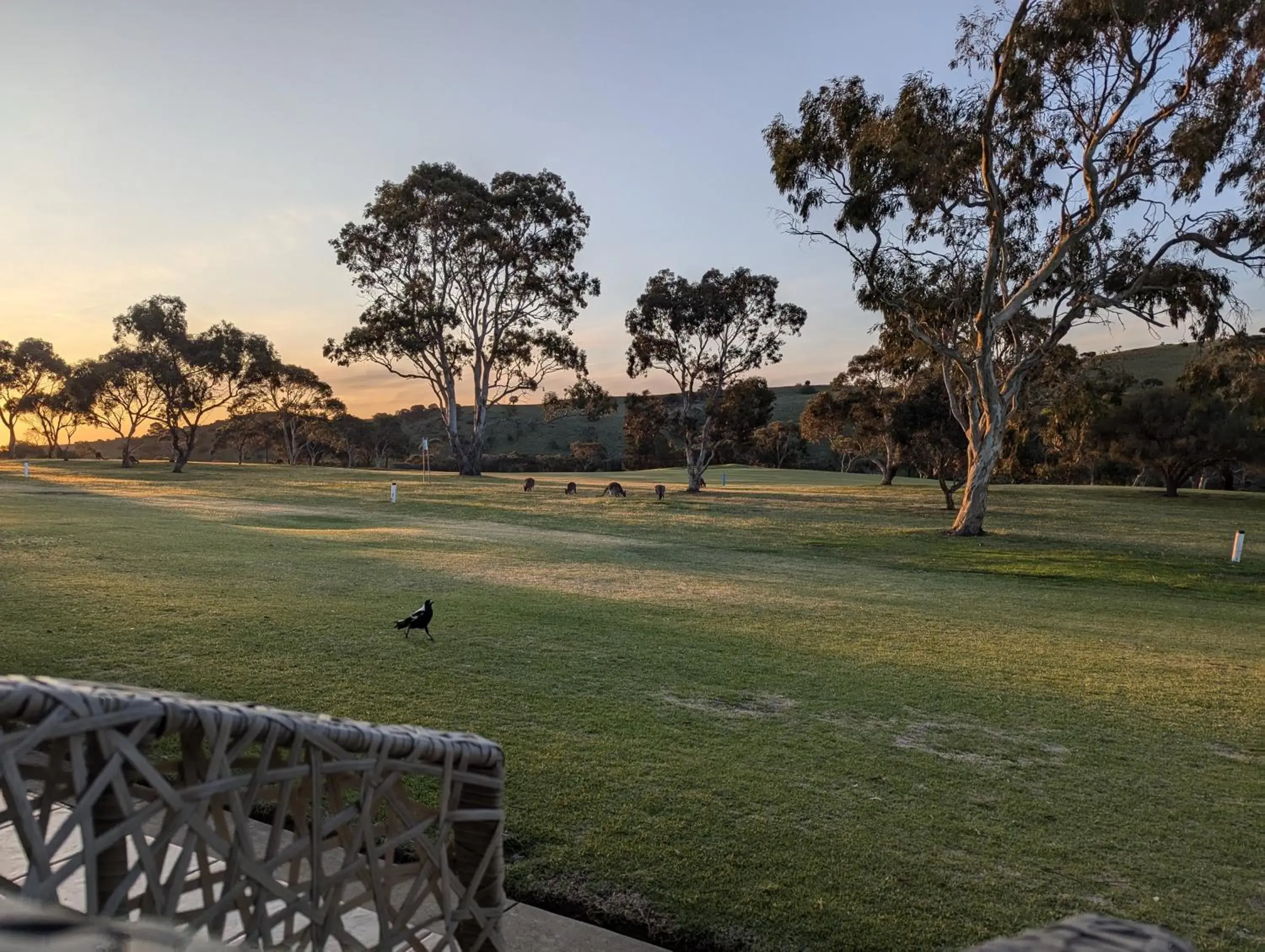 View (from property/room) in BreakFree Wirrina Cove View (from property/room) in BreakFree Wirrina Cove