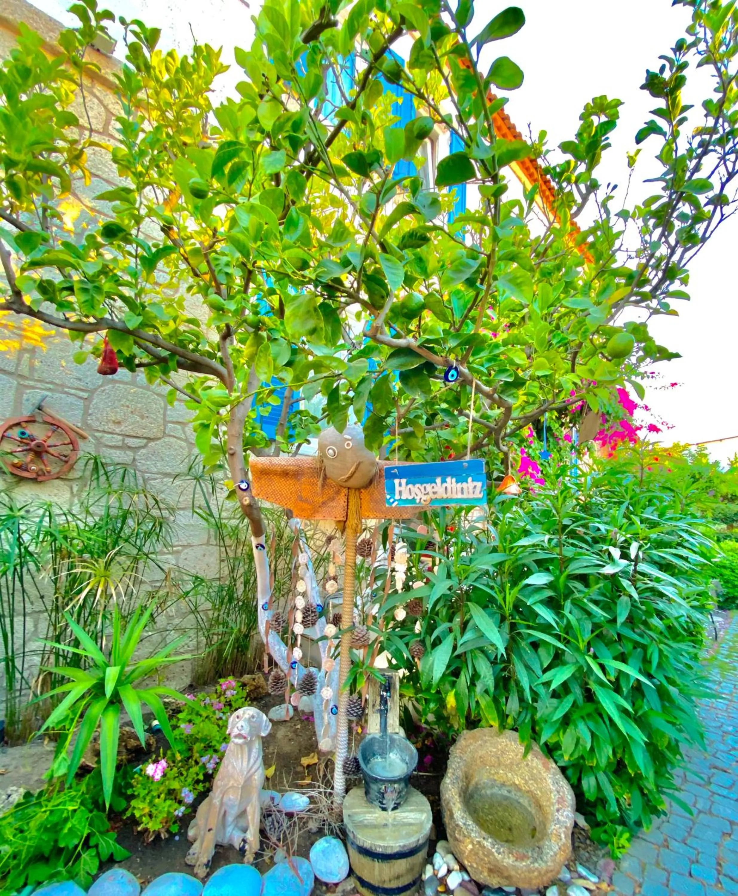 Garden in Alacati Kayezta Hotel